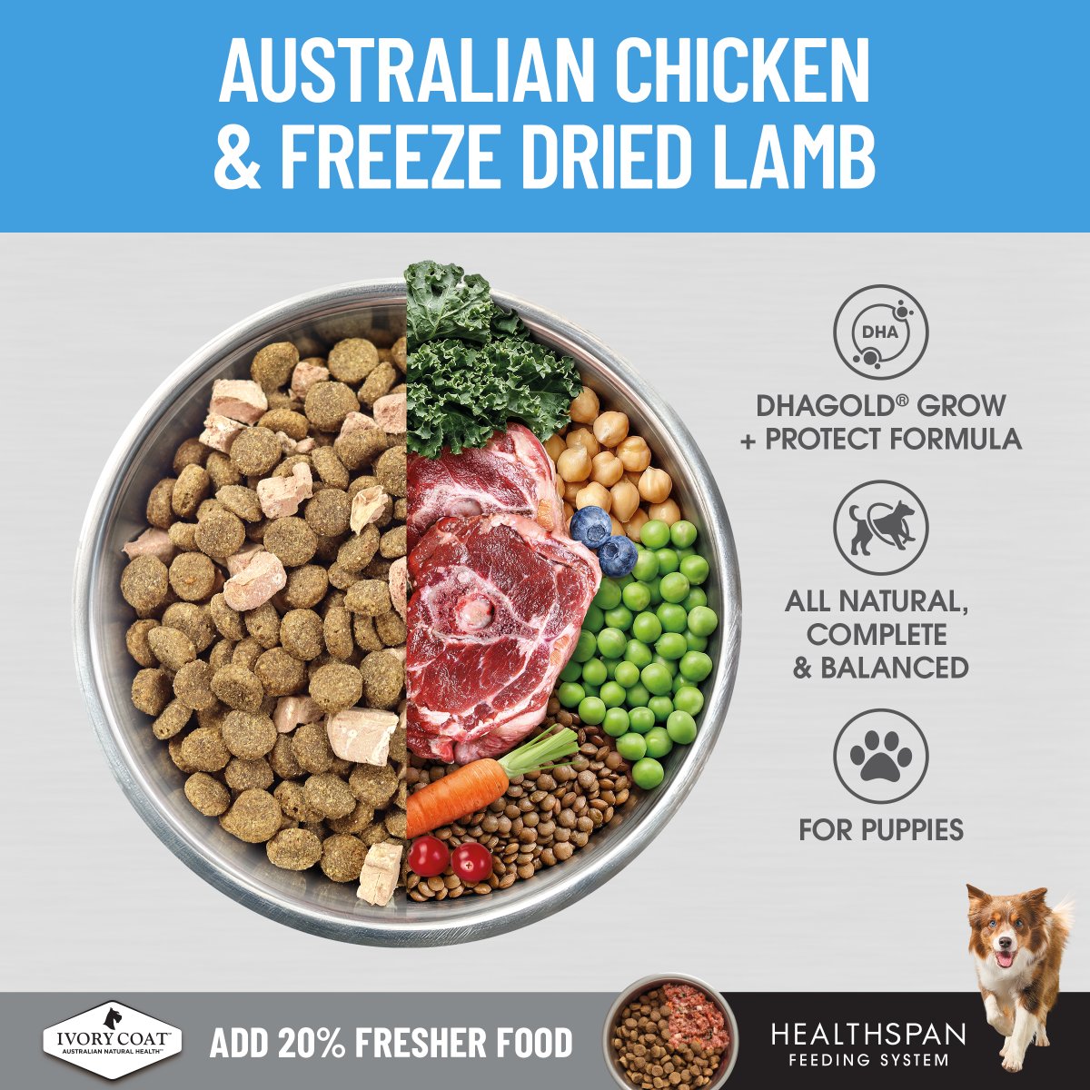 Ivory Coat Raw Health Puppy Immunity Dry Dog Food