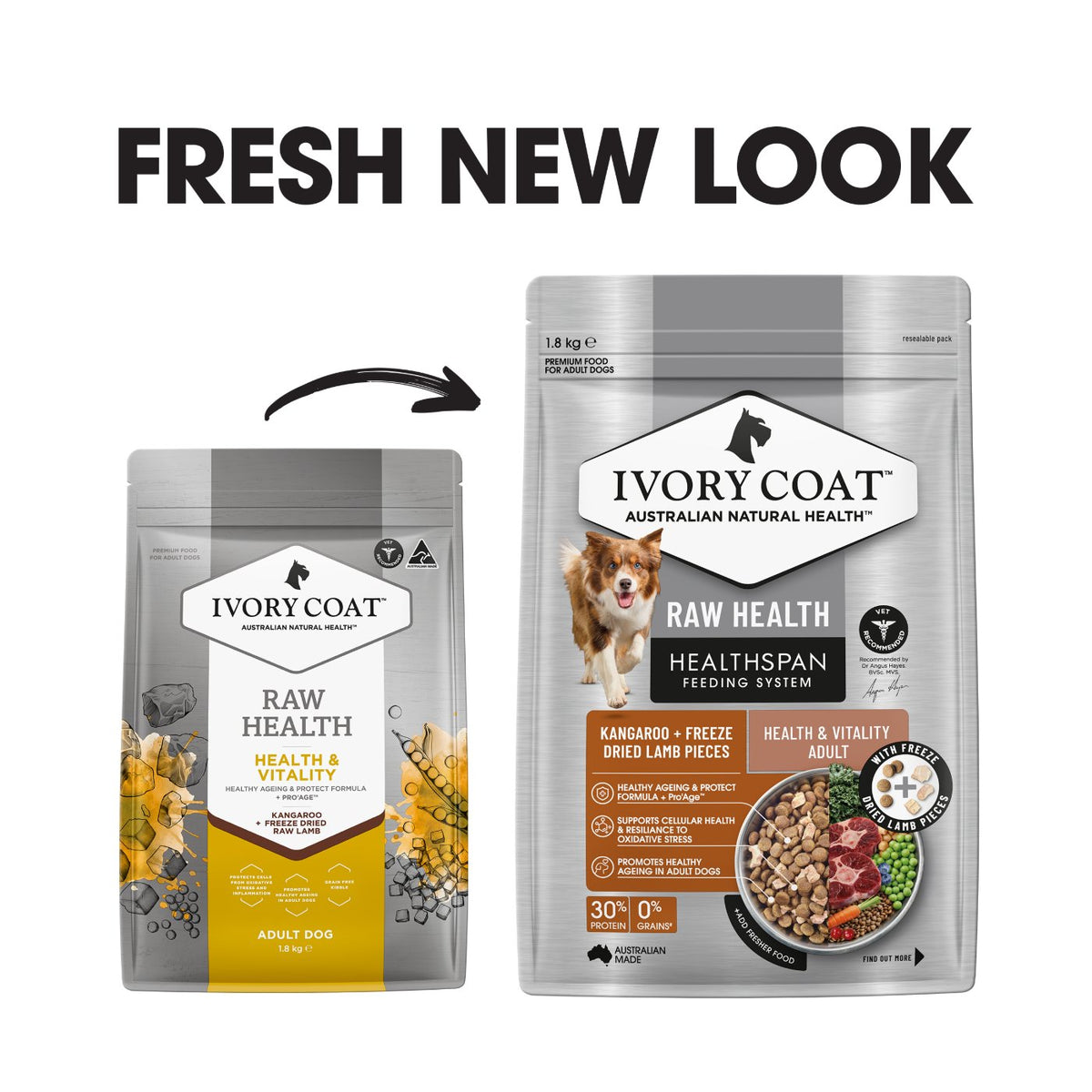 Ivory Coat Raw Health Health & Vitality Dry Dog Food
