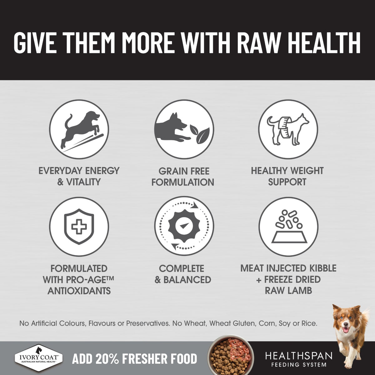 Ivory Coat Raw Health Health & Vitality Dry Dog Food