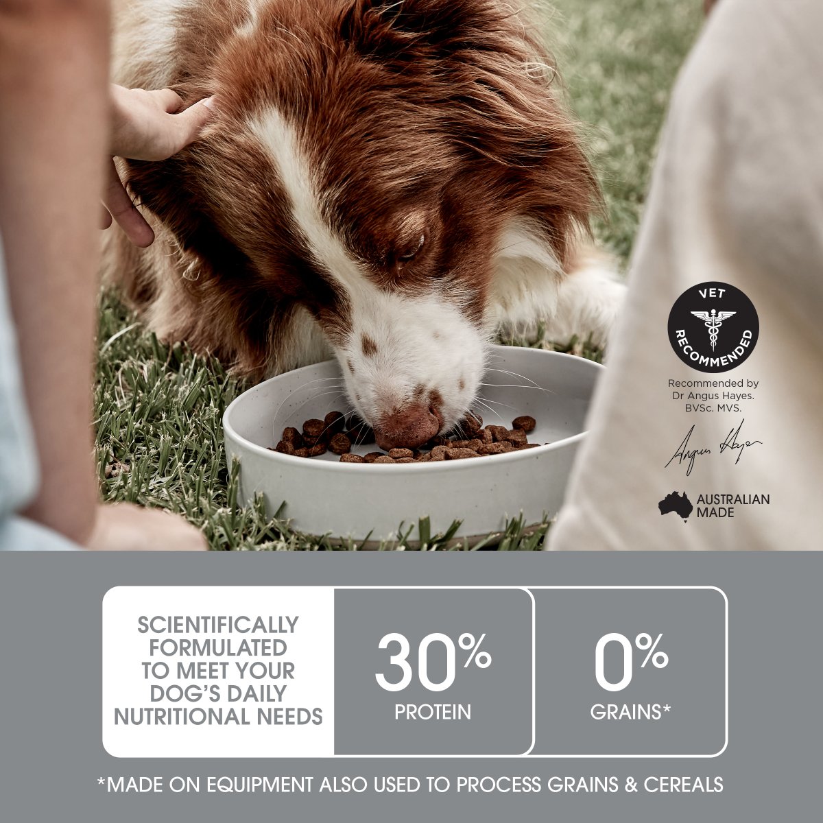 Ivory Coat Raw Health Health & Vitality Dry Dog Food