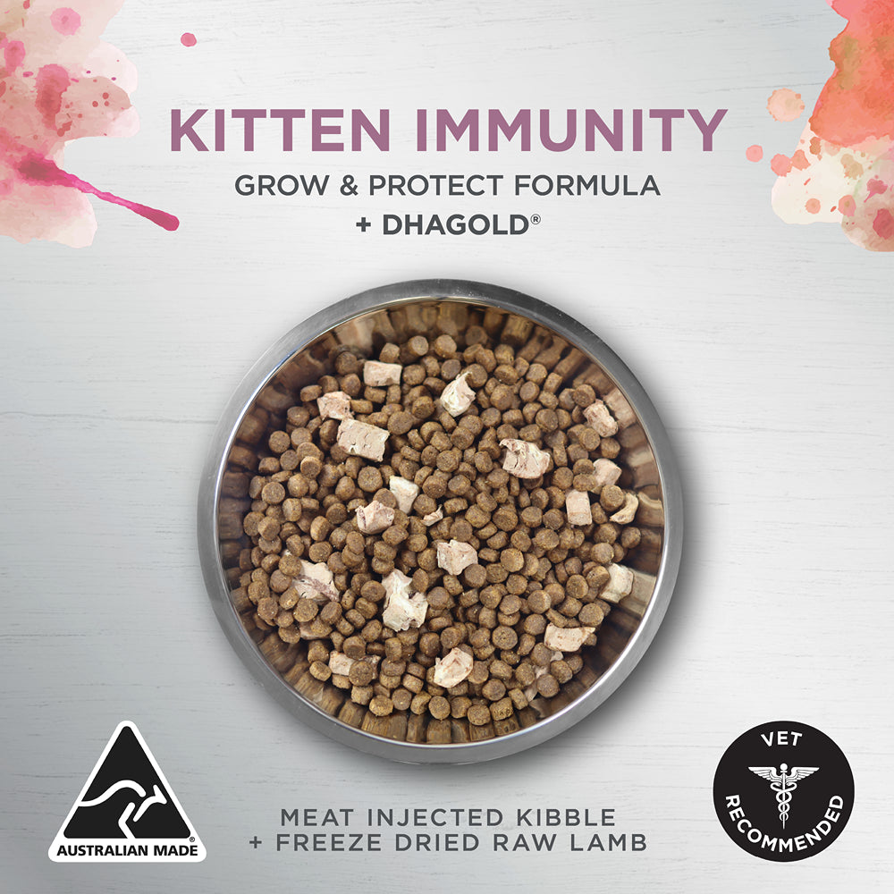 Ivory Coat Raw Health Immunity Dry Kitten Food