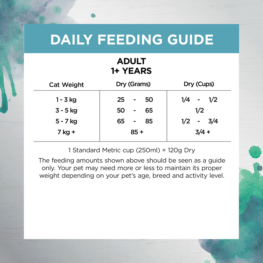 Ivory Coat Raw Health Oral Care Dry Cat Food