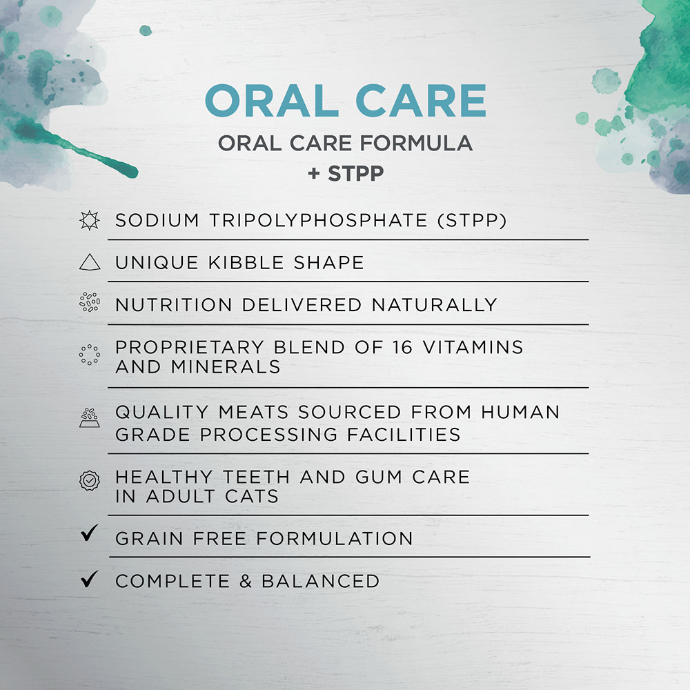 Ivory Coat Raw Health Oral Care Dry Cat Food