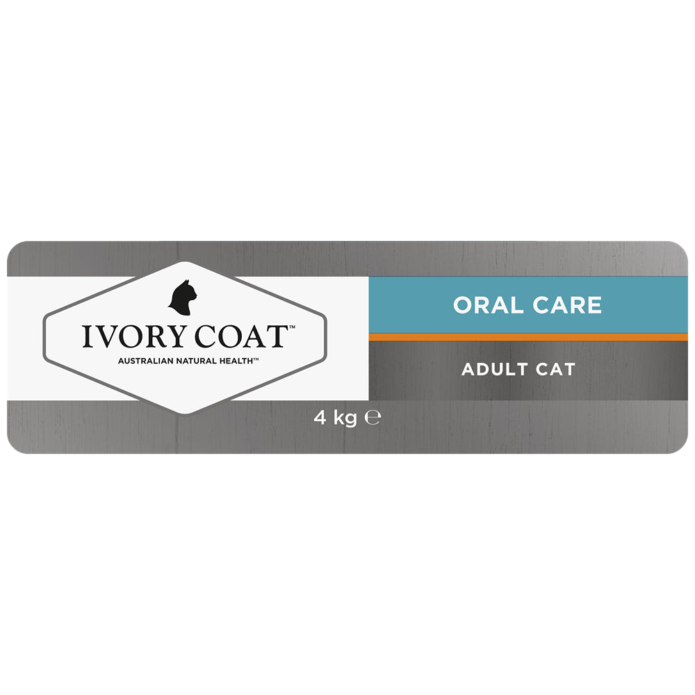 Ivory Coat Raw Health Oral Care Dry Cat Food