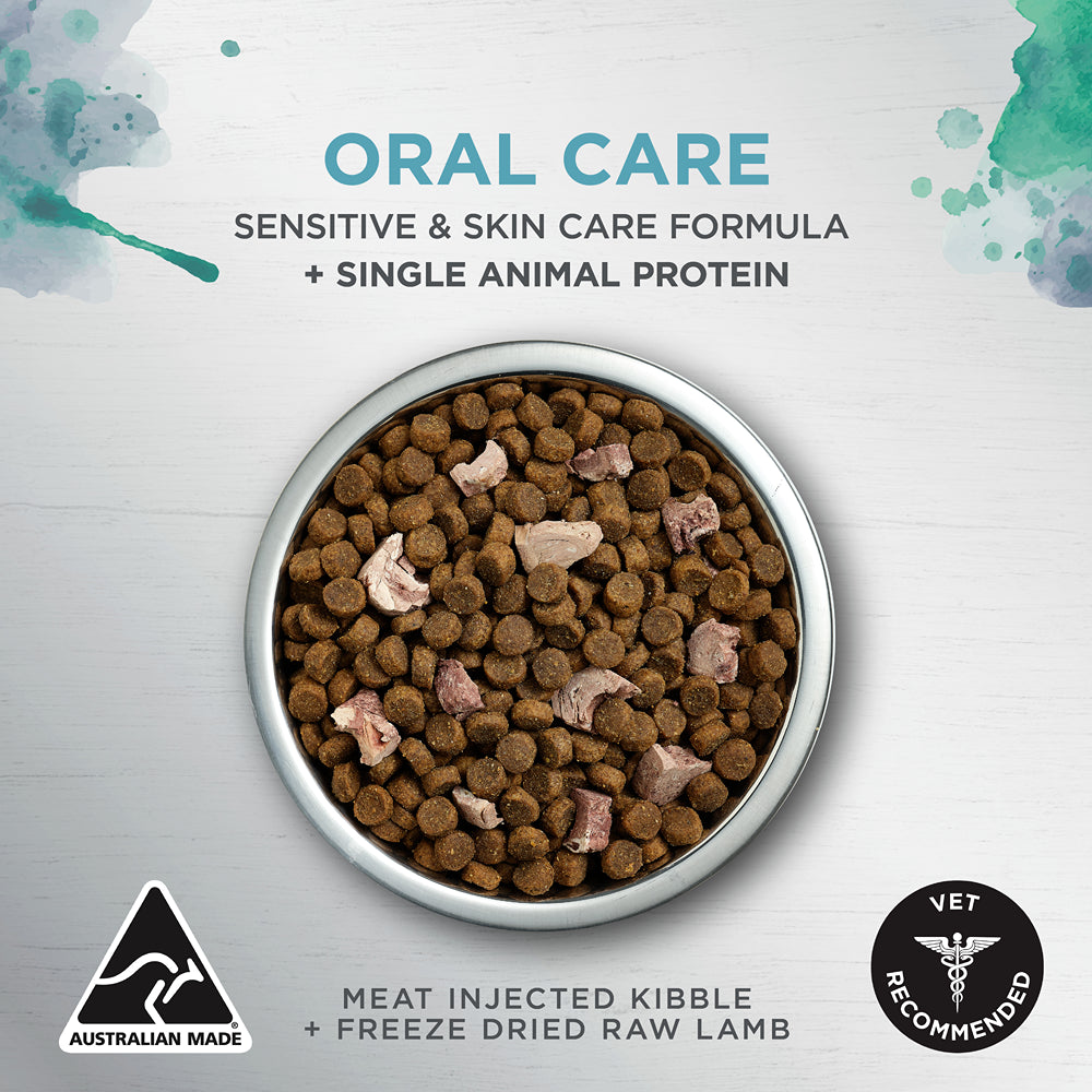 Ivory Coat Raw Health Oral Care Dry Cat Food