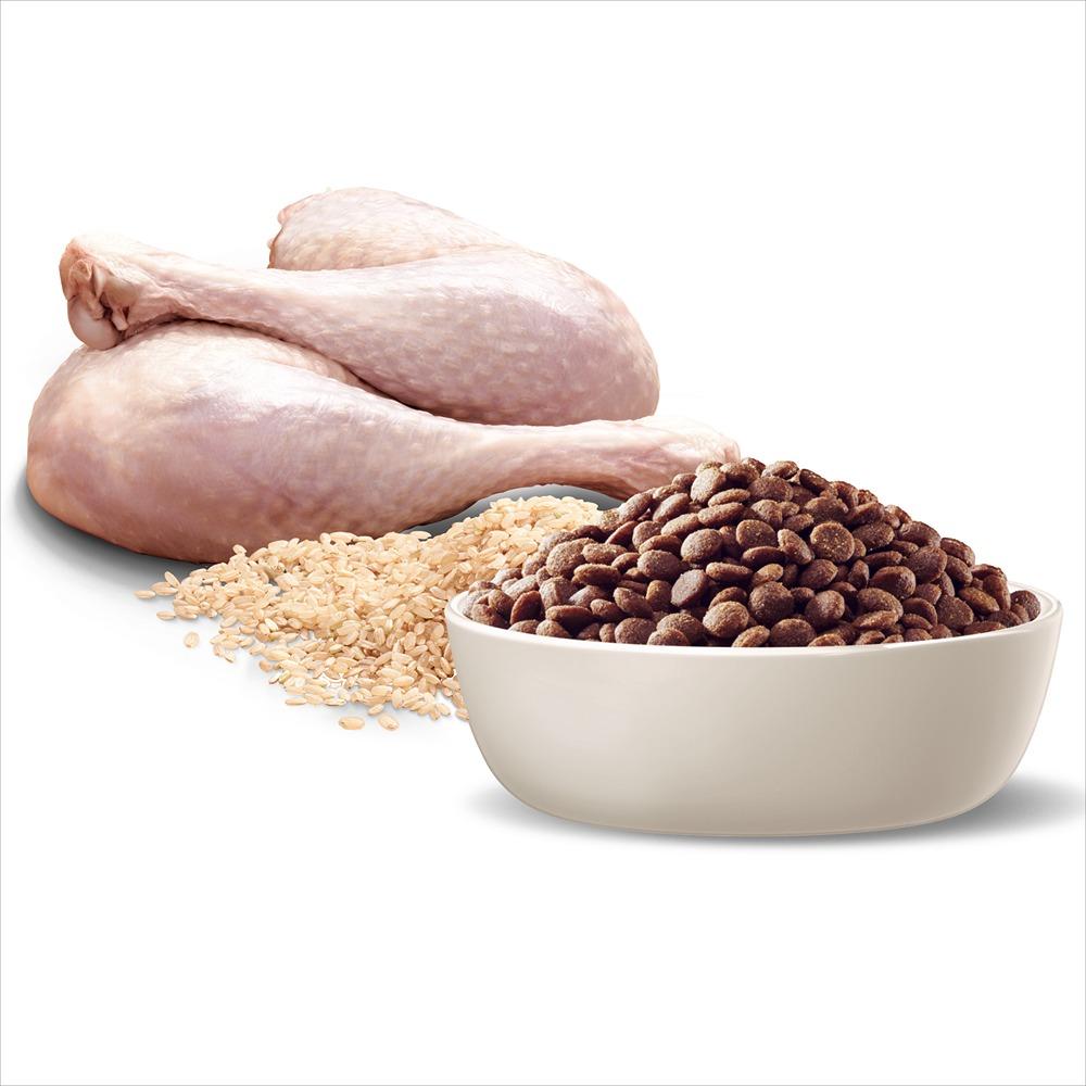 Advance Puppy Medium Breed With Turkey & Rice Dry Dog Food
