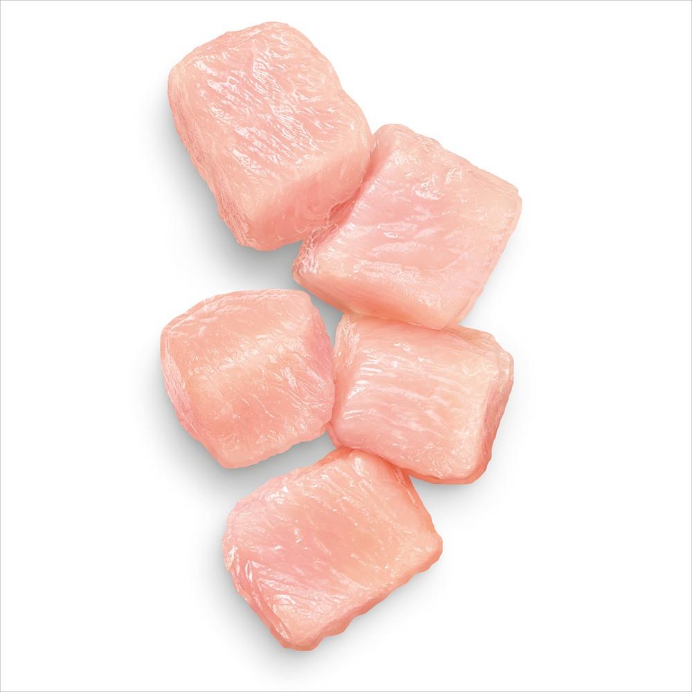 Advance Kitten Chicken Dry Cat Food