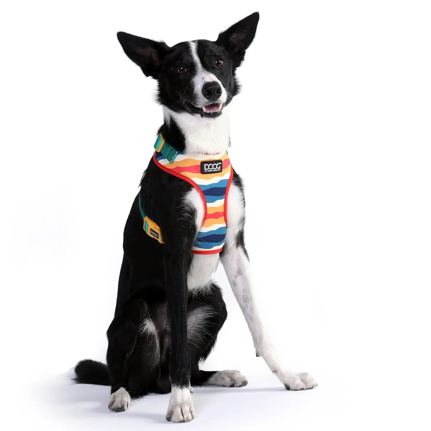 DOOG Neoflex Scout Dog Harness