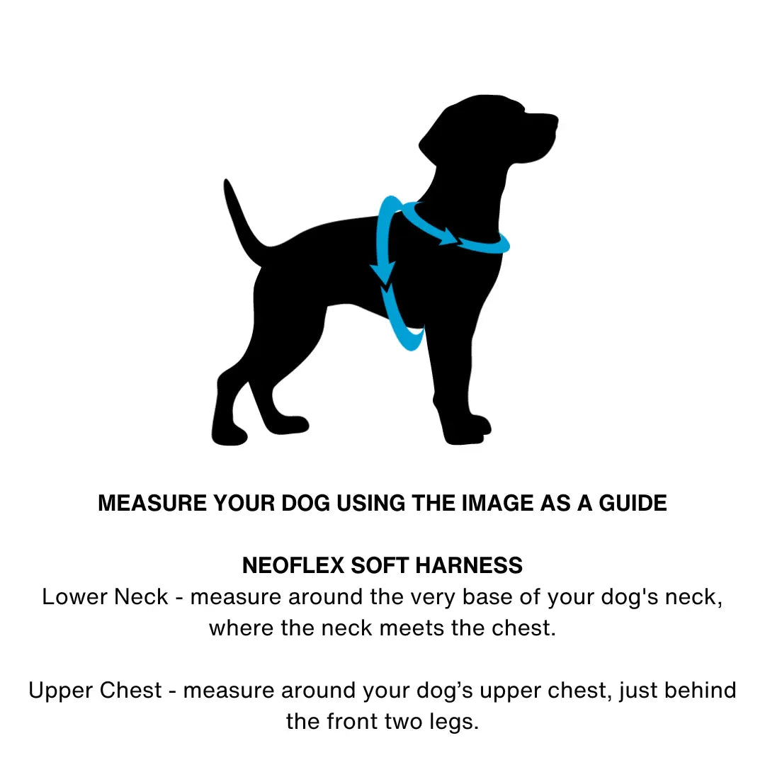 DOOG Neoflex Scout Dog Harness