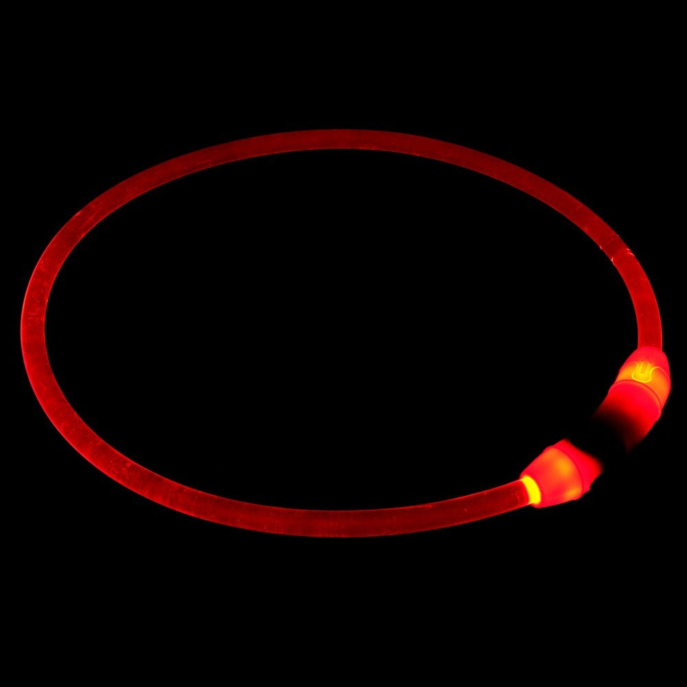 Lexi & Me Rechargable Light Up Collar