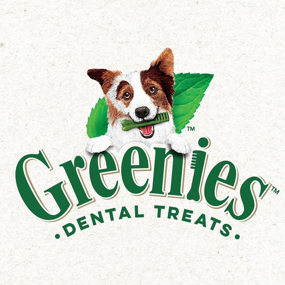 Greenies Canine Dental Dog Treat Sweet Potato Flavored Teenie 340g