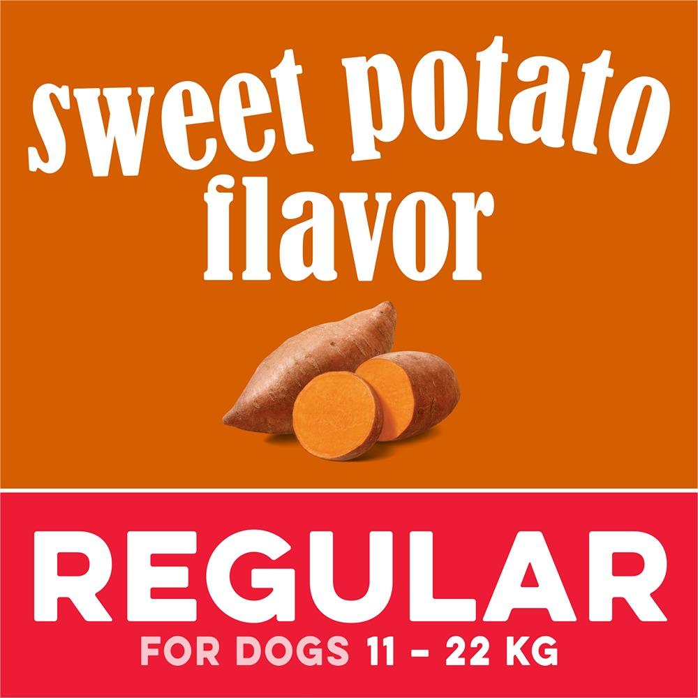 Greenies Canine Dental Dog Treat Sweet Potato Flavored Regular 340g