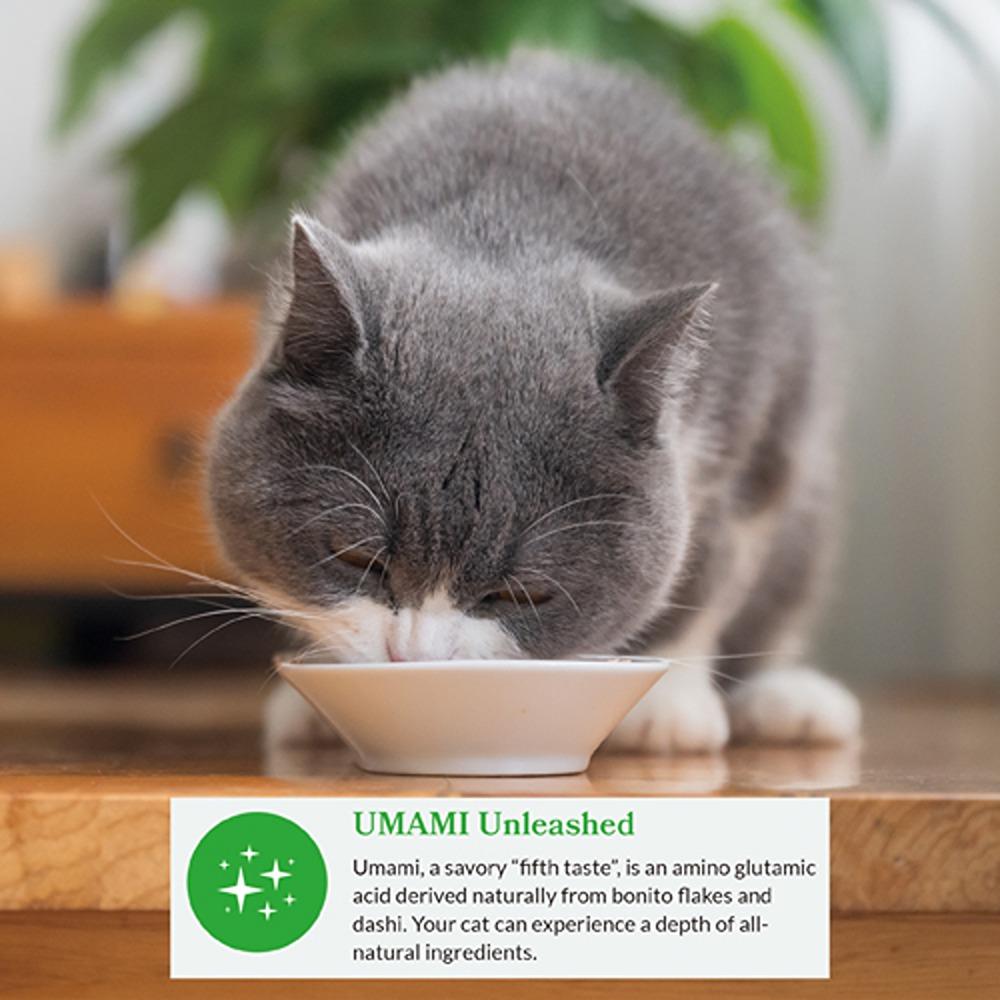 Inaba Cup Dashi Chicken Cat Treat 70g