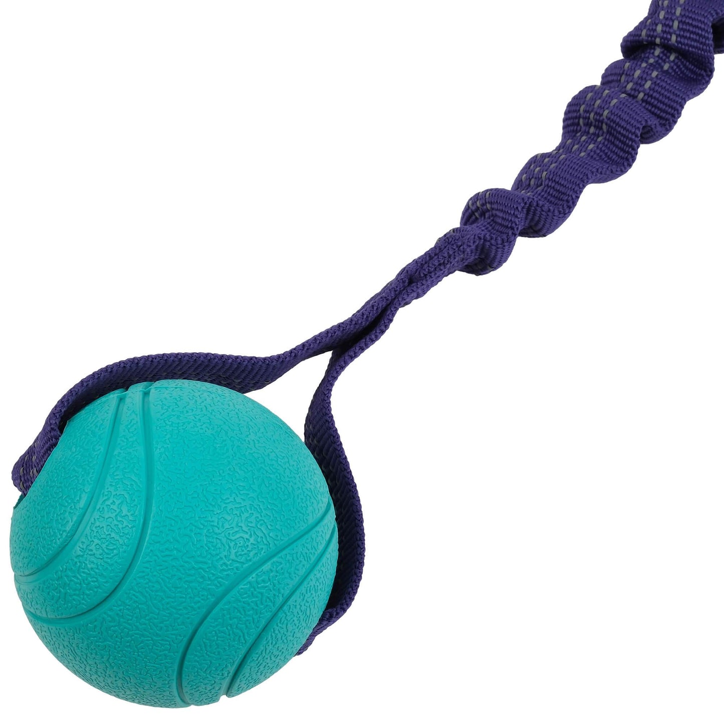 Go Get Bungee Dog Tug Toy