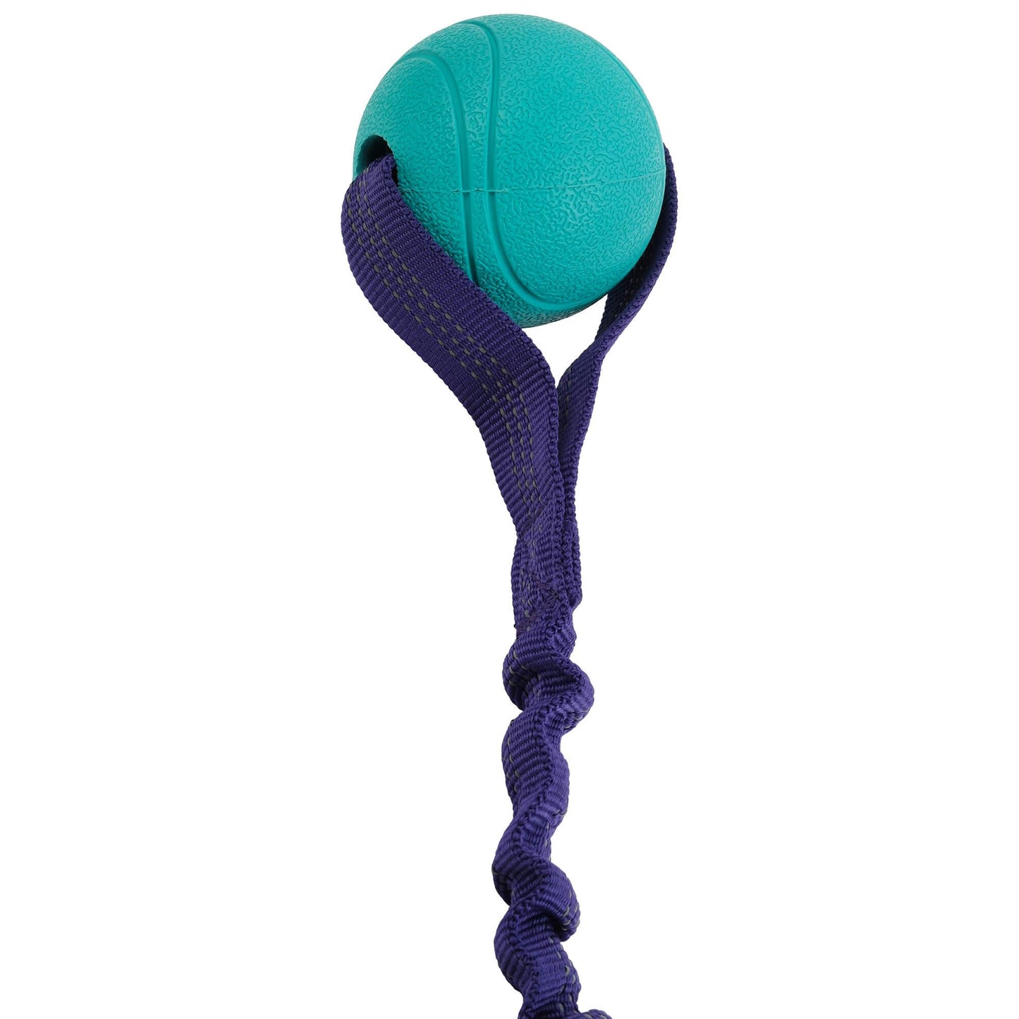 Go Get Bungee Dog Tug Toy