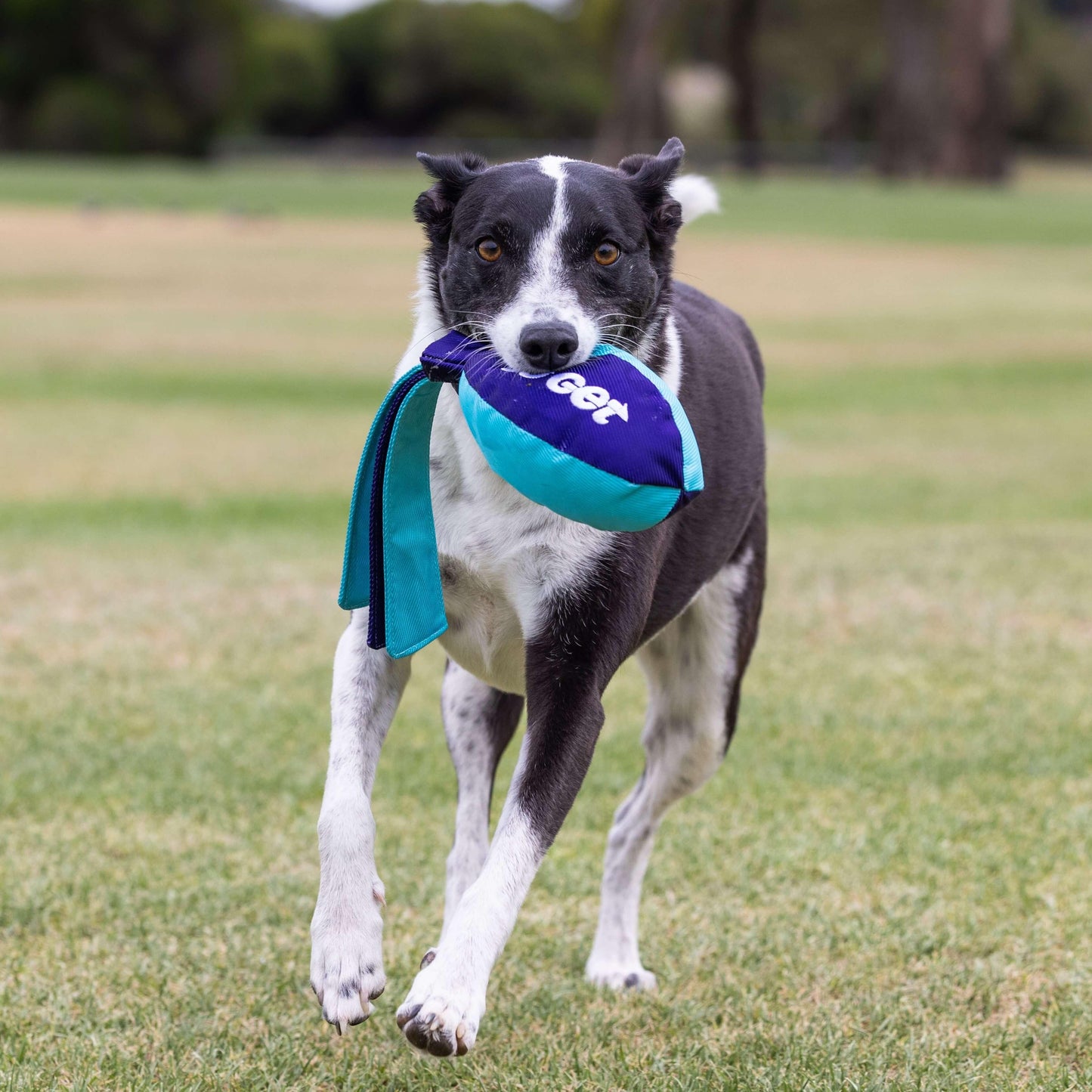 Go Get Rocket Ball Dog Toy