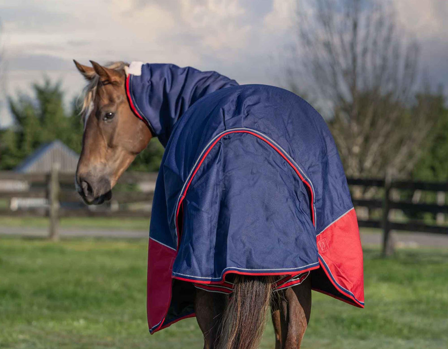 Caribu Eclipse XL Gusset Detach-a-Neck Horse Rainsheet Navy Red
