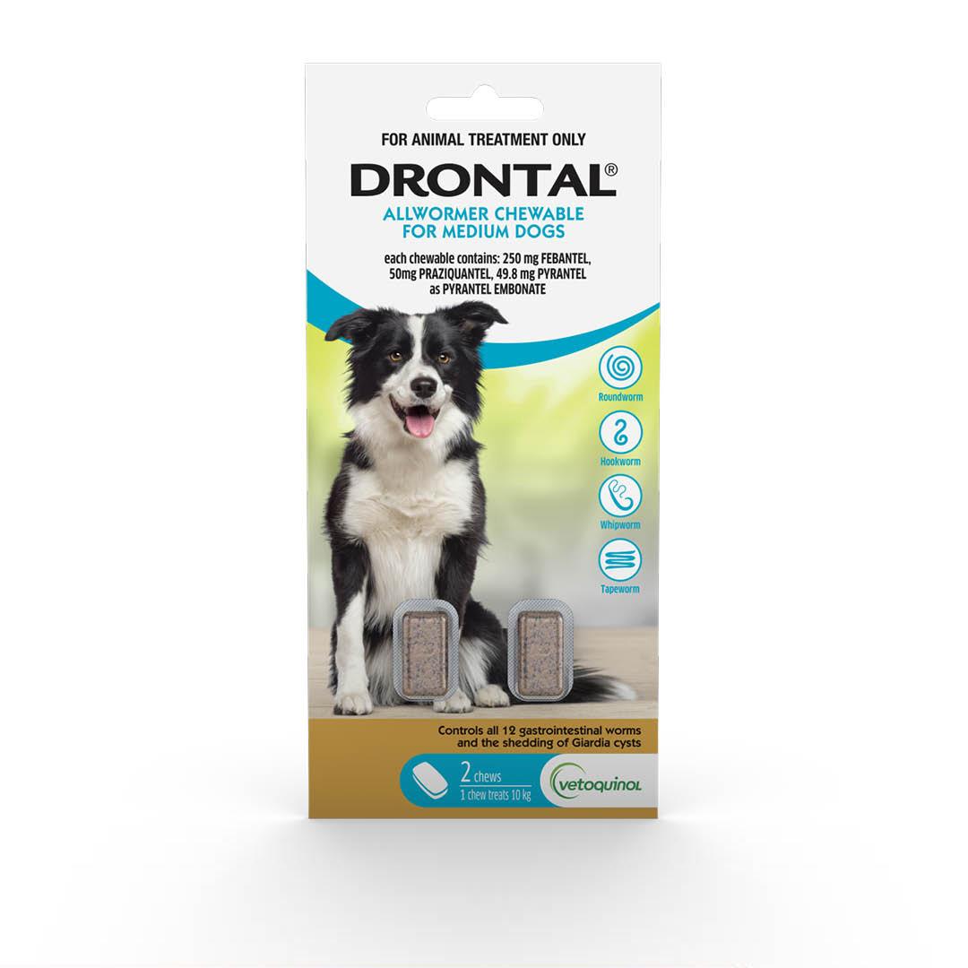 Drontal Chewable Intestinal Wormer Medium Dog