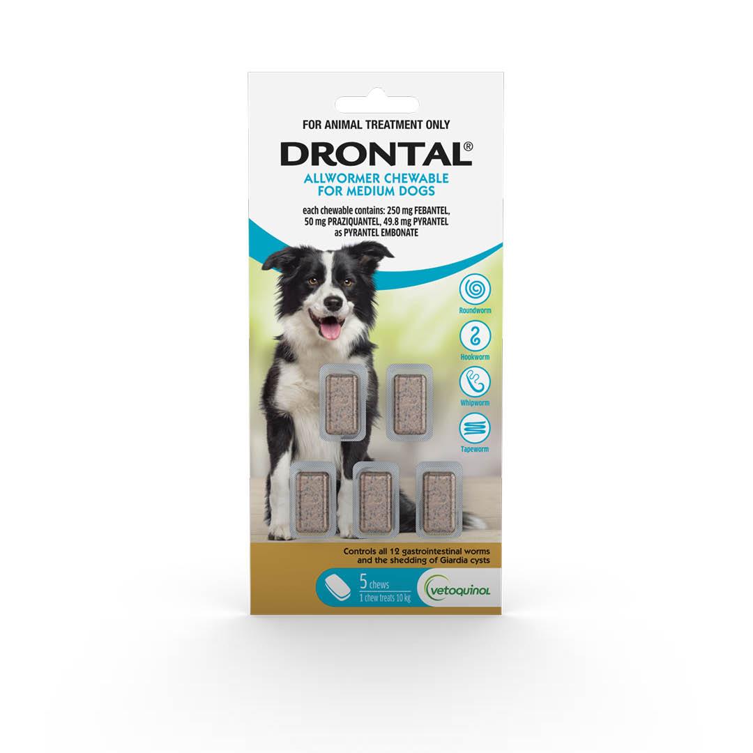 Drontal Chewable Intestinal Wormer Medium Dog