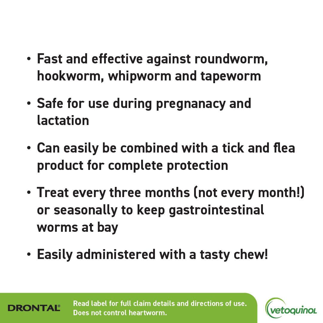 Drontal Chewable Intestinal Wormer Medium Dog