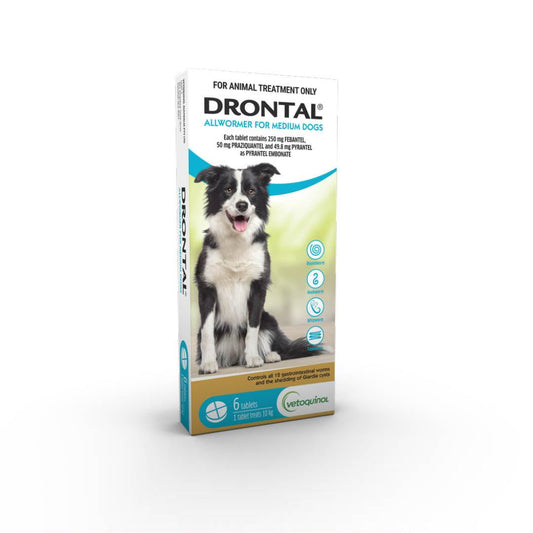 Drontal Allwormer Tablets Medium Dog 6 Pack