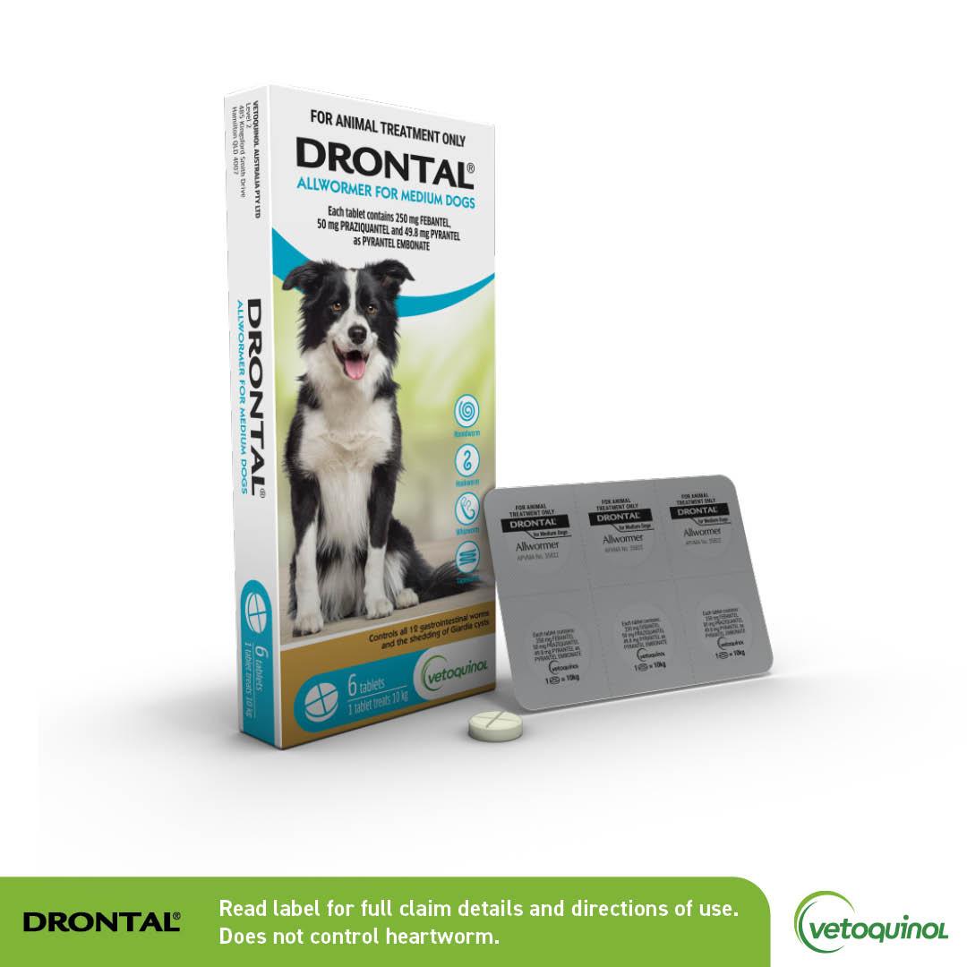 Drontal Allwormer Tablets Medium Dog 6 Pack