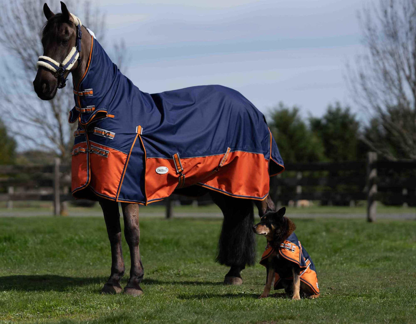 Caribu Eclipse Combo Horse Rainsheet Navy Kumquat