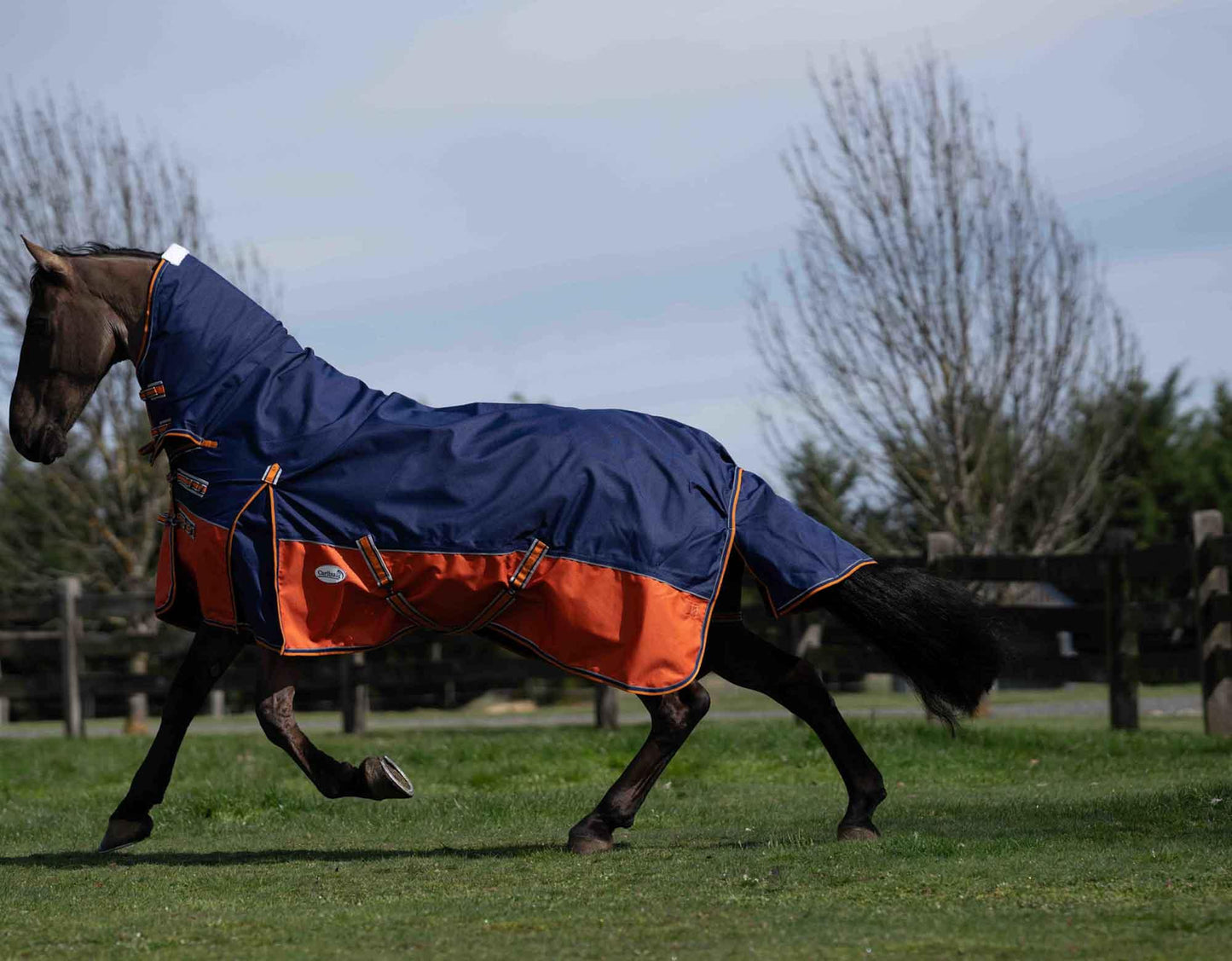 Caribu Eclipse Combo Horse Rainsheet Navy Kumquat