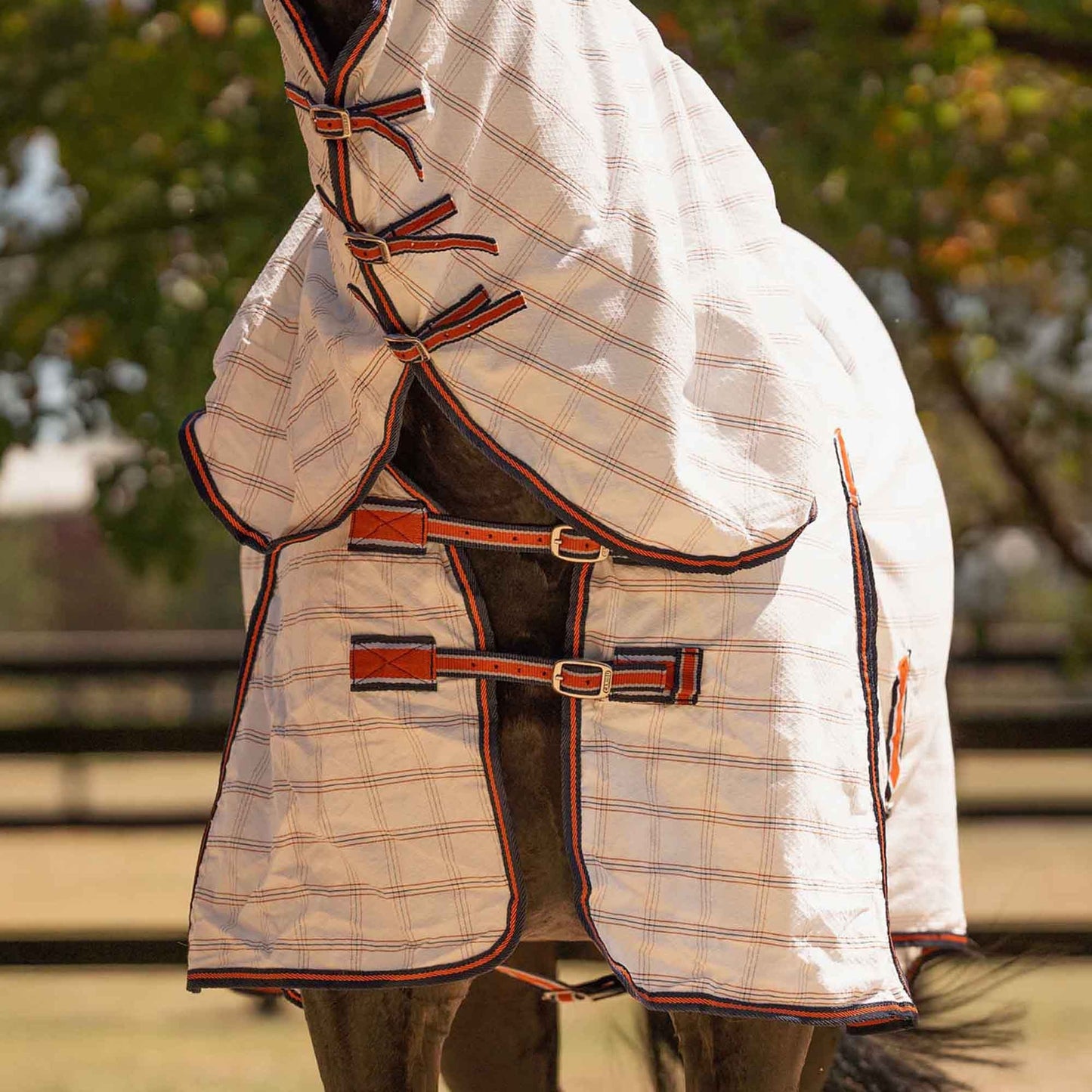 Caribu Ripstop Combo XL Gusset Horse Rug Navy Kumquat