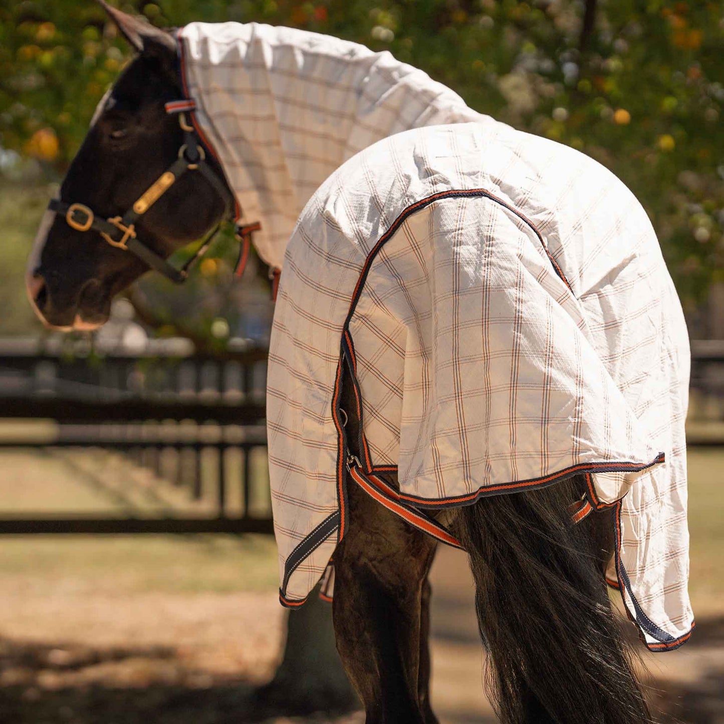 Caribu Ripstop Combo XL Gusset Horse Rug Navy Kumquat
