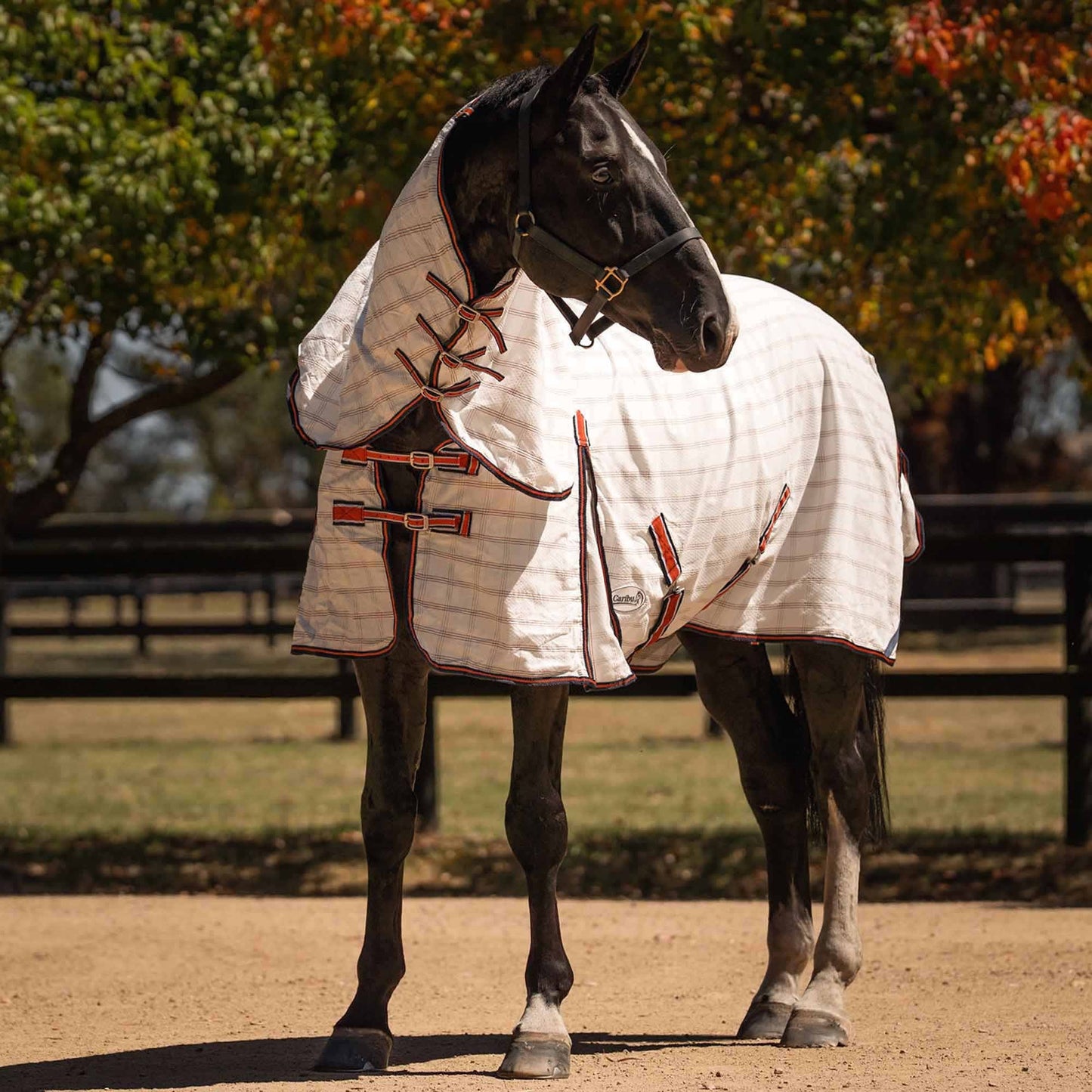 Caribu Ripstop Combo XL Gusset Horse Rug Navy Kumquat