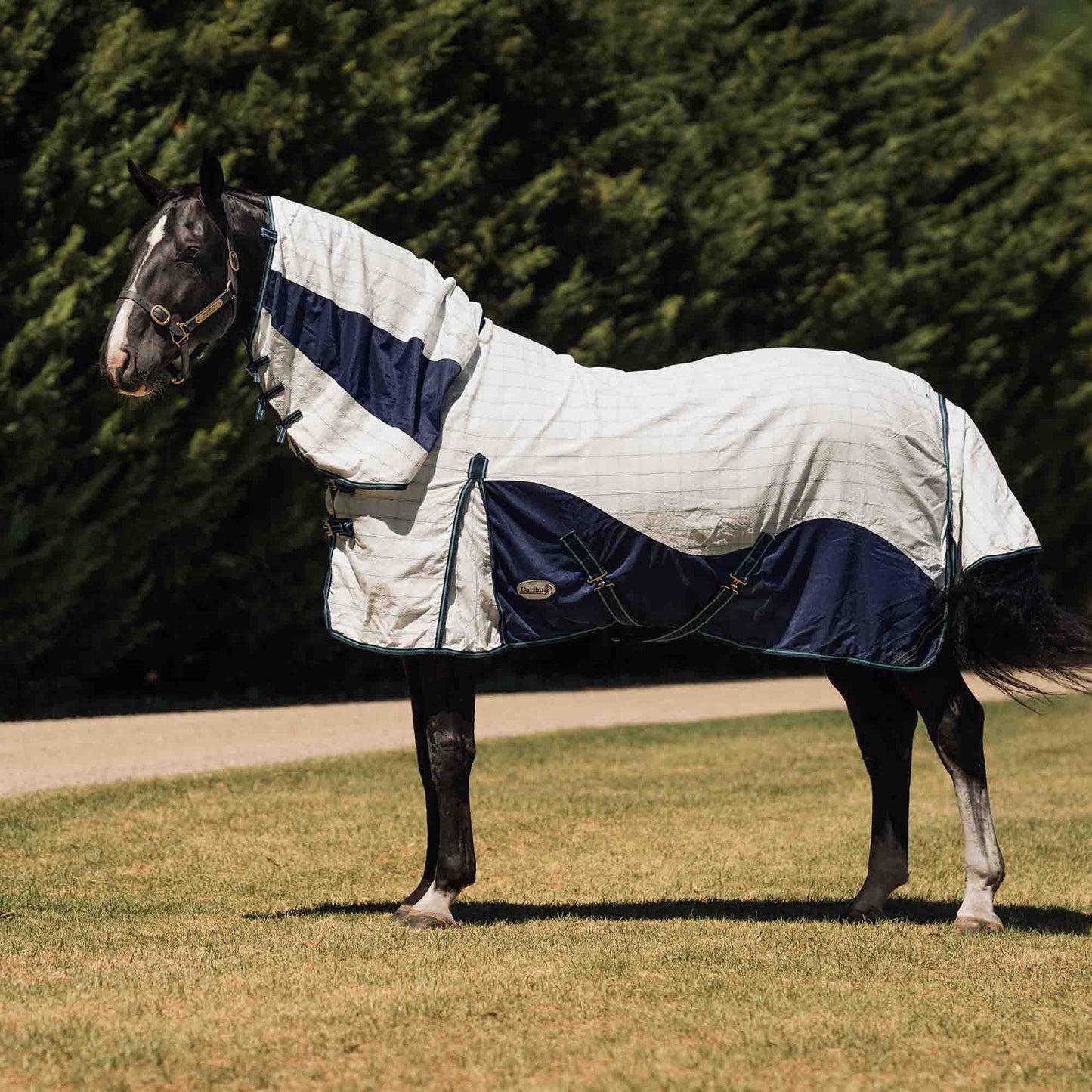 Caribu Atla Hybrid Combo Horse Rug Cobalt & Cabbage