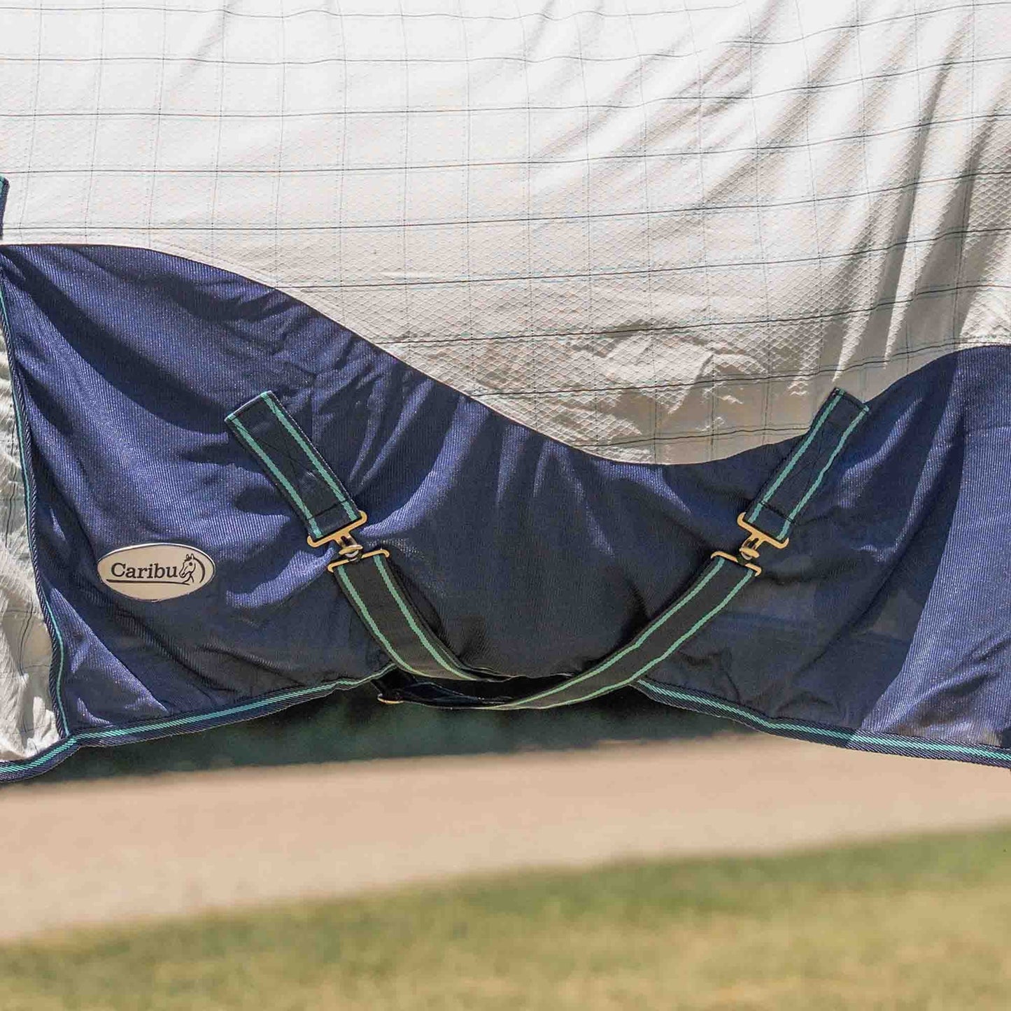 Caribu Atla Hybrid Combo Horse Rug Cobalt & Cabbage