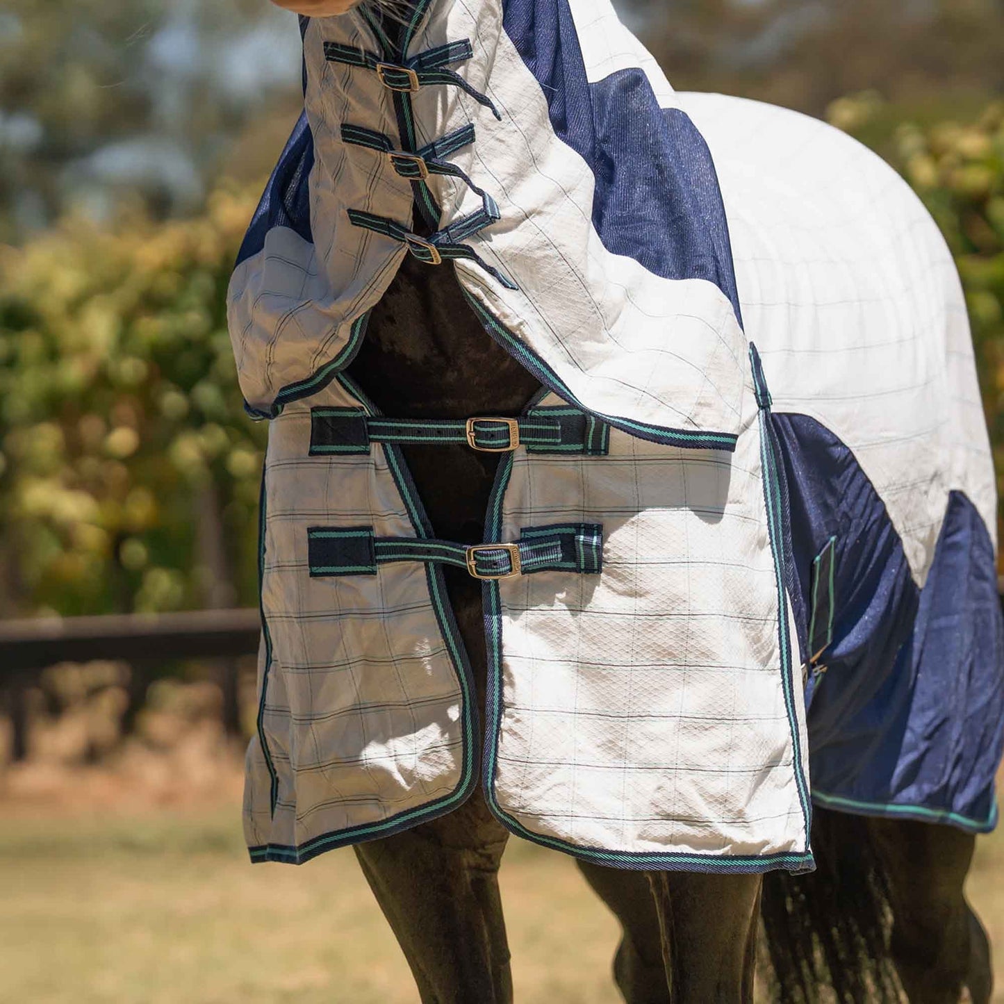 Caribu Atla Hybrid Combo Horse Rug Cobalt & Cabbage