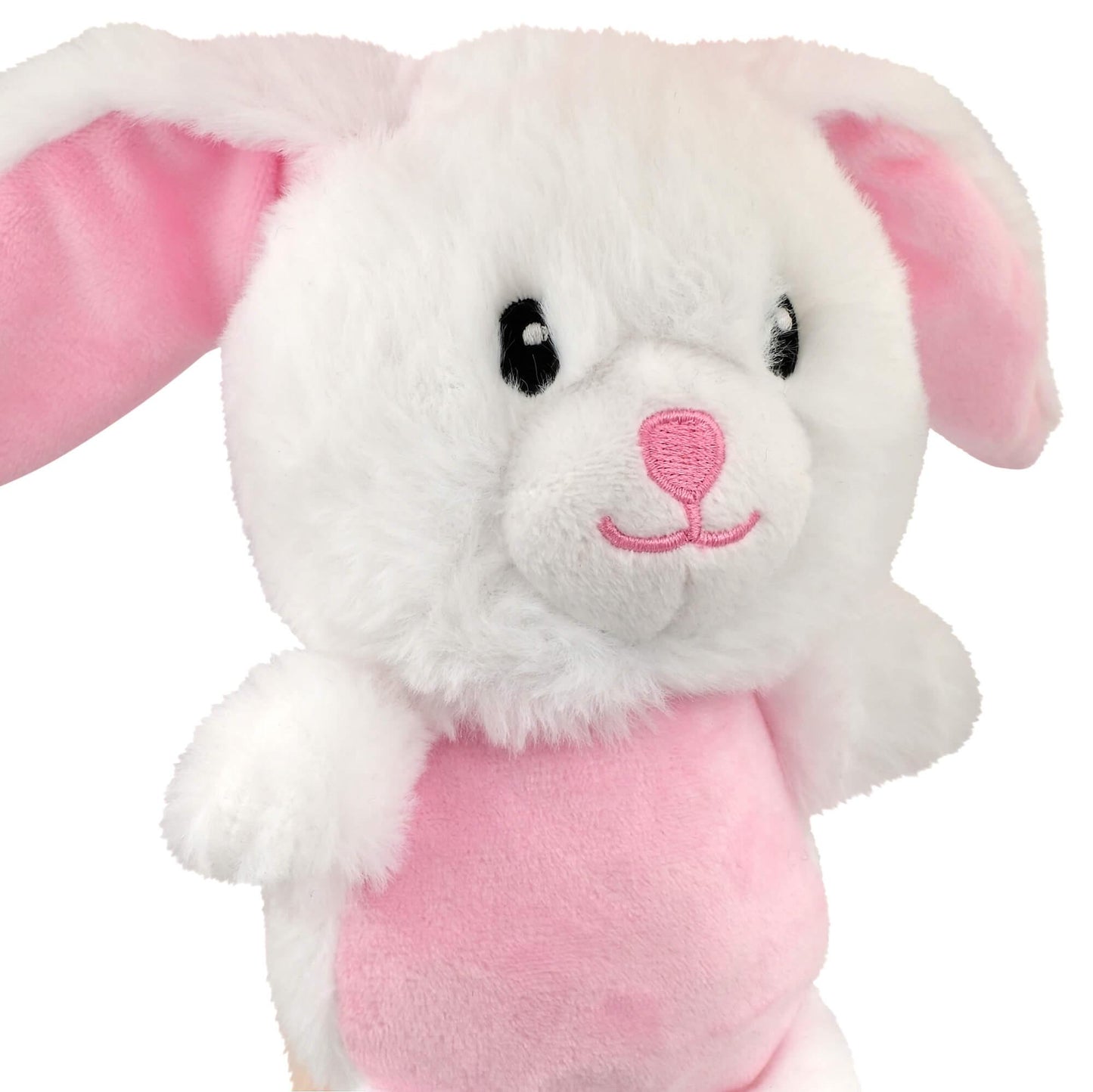 Lexi & Me Rabbit Plush & Bottle Crusher Dog Toy