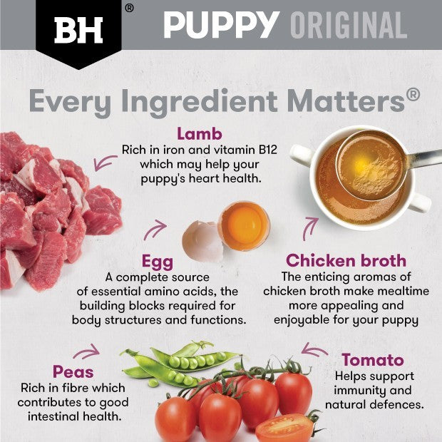 Black Hawk Puppy Lamb & Vegetables Small Breed Wet Dog Food