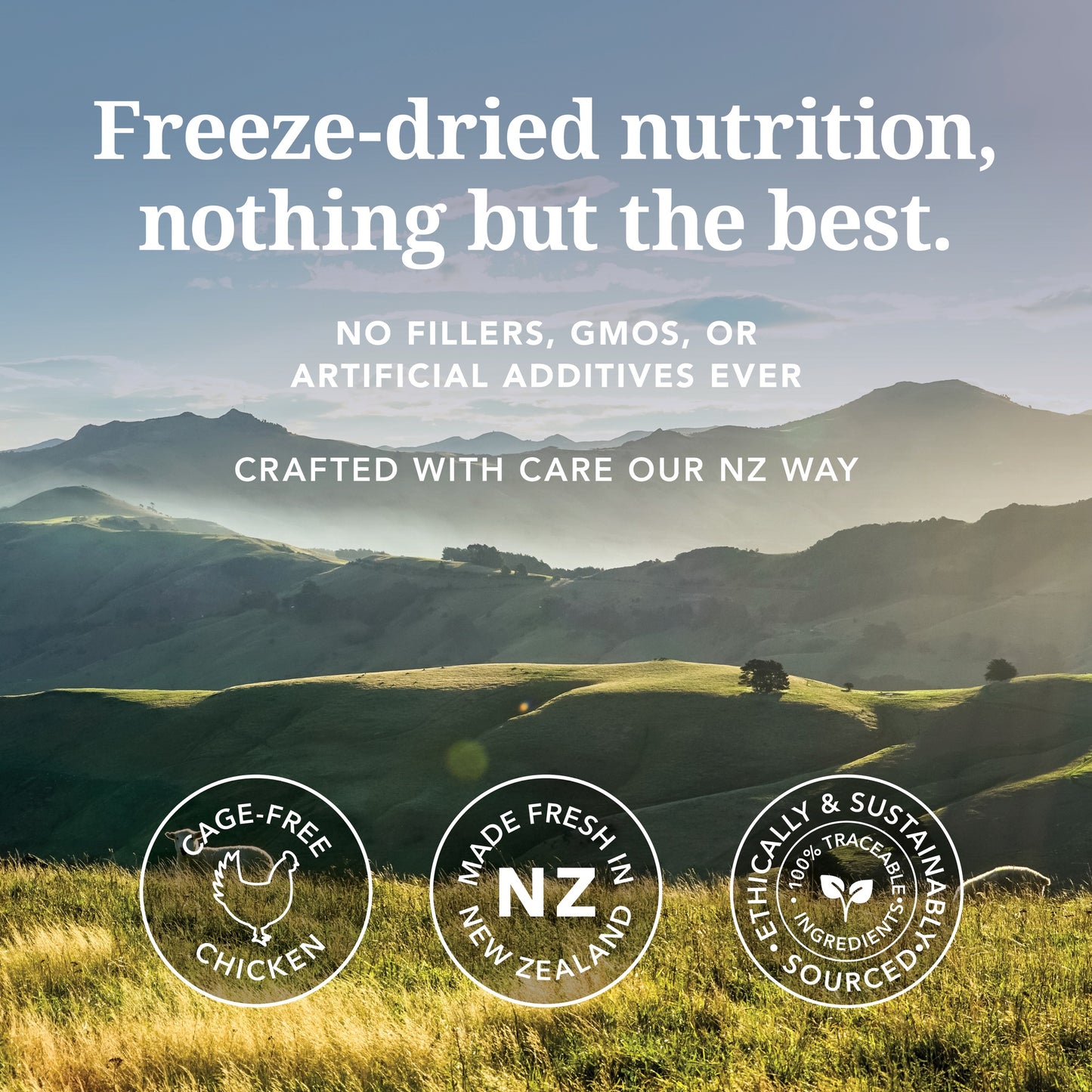 K9 Natural Freeze Dried Chicken Dry Dog Food