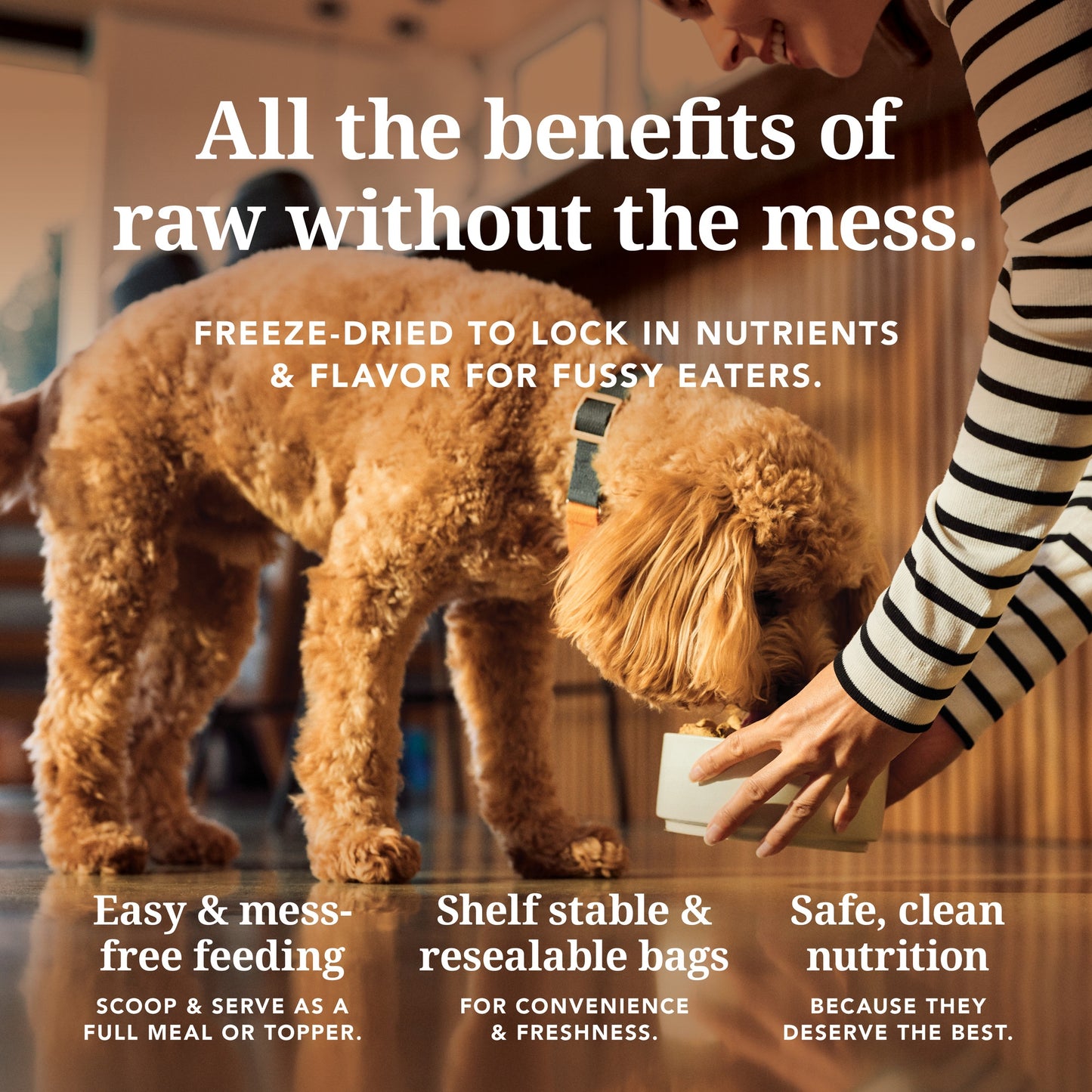 K9 Natural Freeze Dried Chicken Dry Dog Food