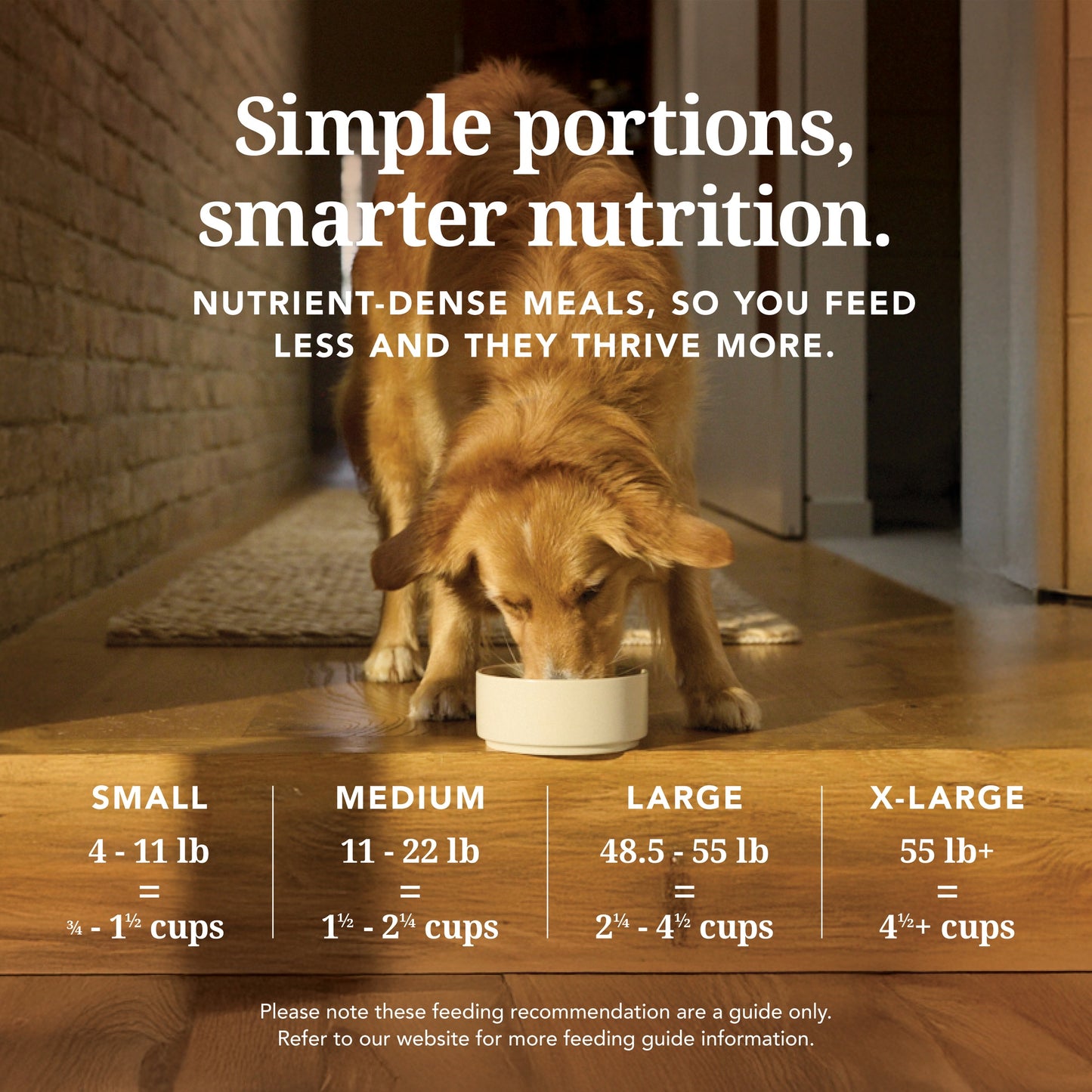 K9 Natural Freeze Dried Chicken Dry Dog Food