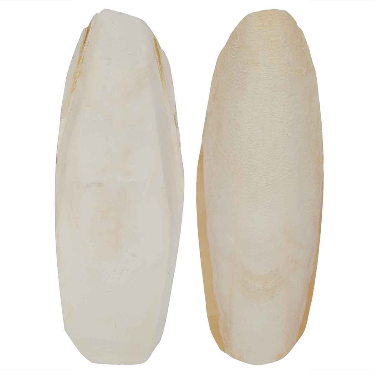 Lexi & Me Cuttlebone 2 Pack