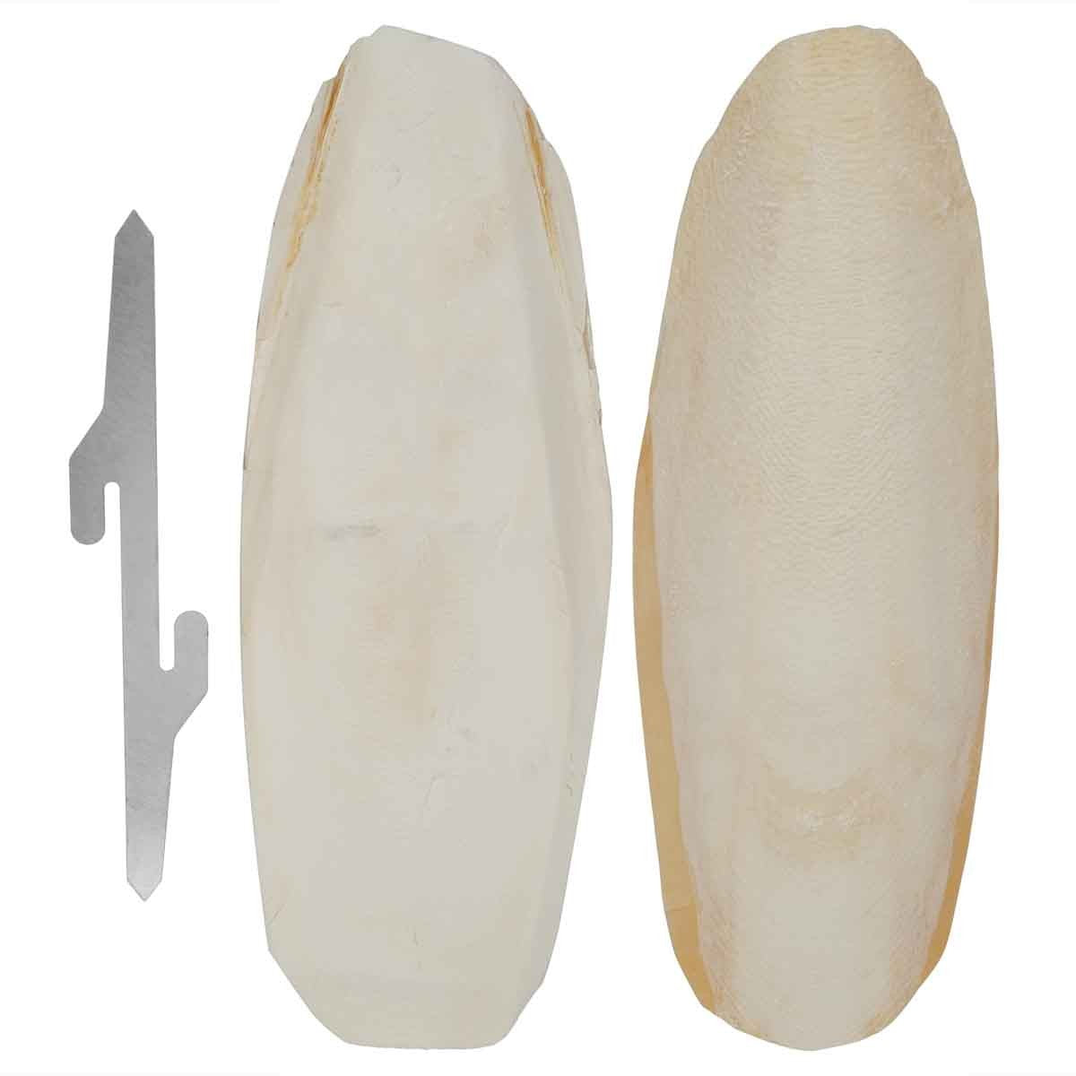 Lexi & Me Cuttlebone 2 Pack