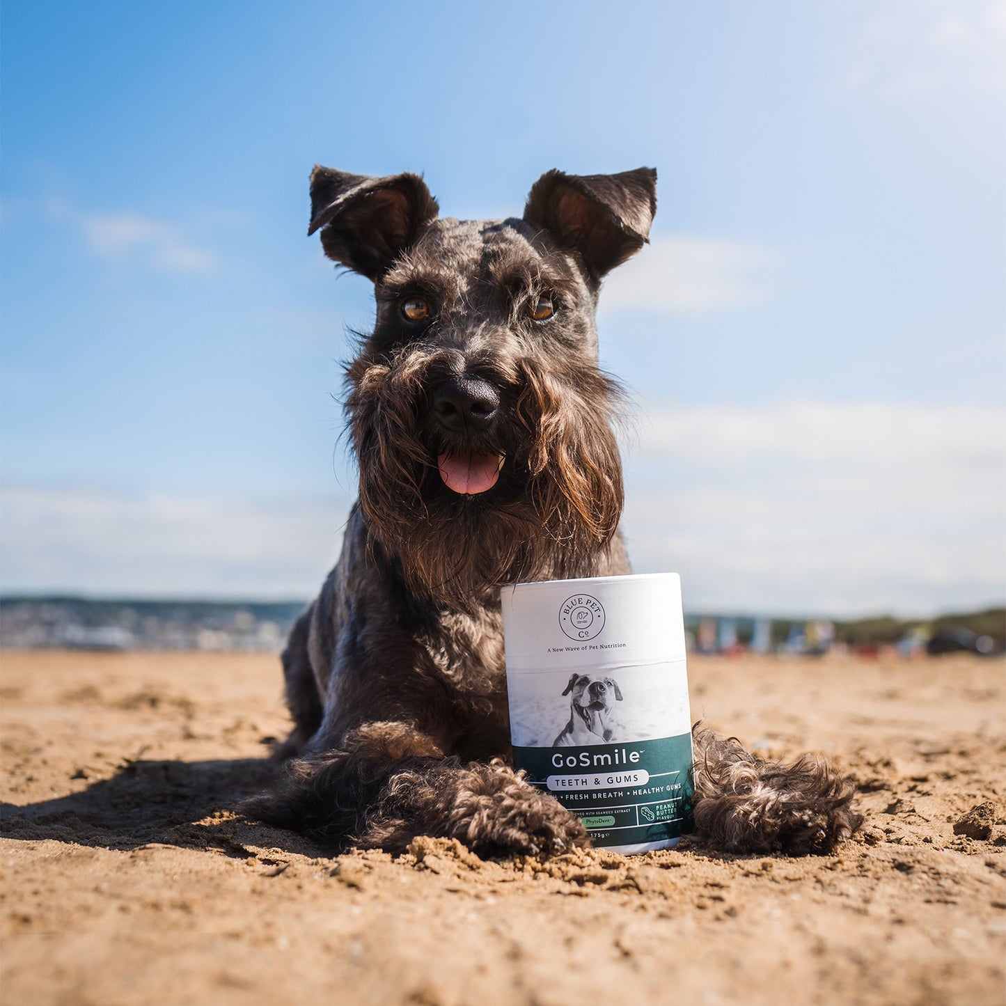 Blue Pet Co GoSmile Teeth & Gum Peanut Butter Supplement for Dogs