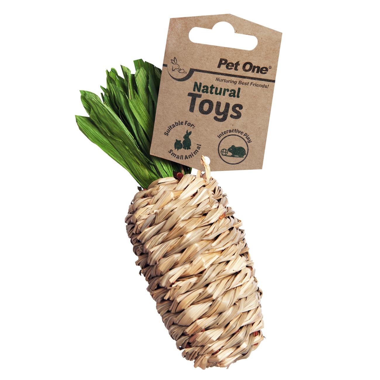 Pet One Small Animal Natural Toy Hibiscus & Leaf Pineapple