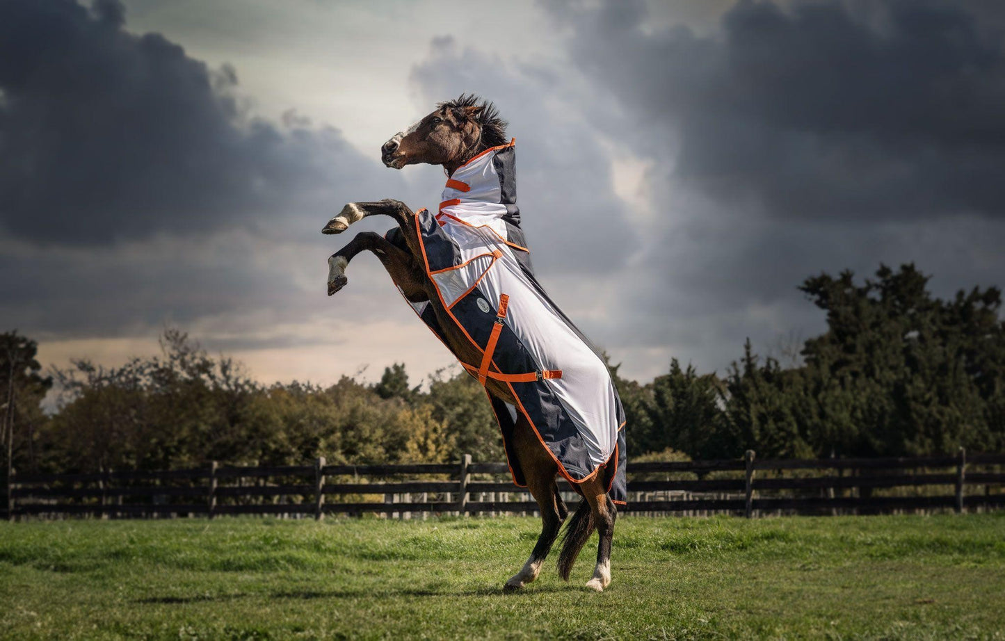 Caribu AeroMist Detach-a-Neck Midnight Orange Horse Rug