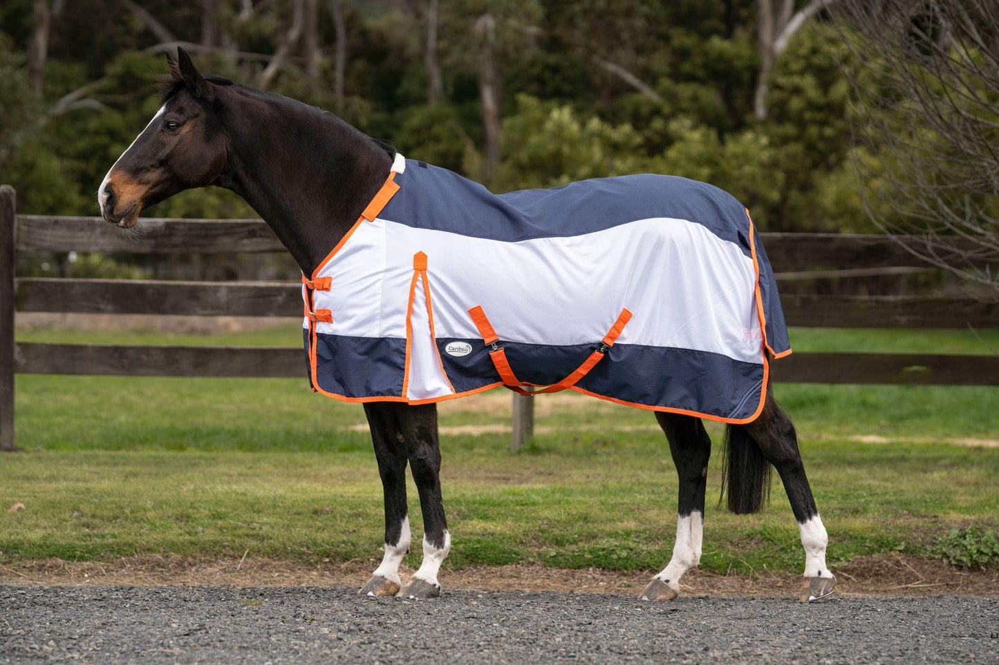 Caribu AeroMist Detach-a-Neck Midnight Orange Horse Rug