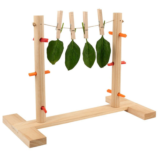 Lexi & Me Small Animal Wooden Feeder Snack Line