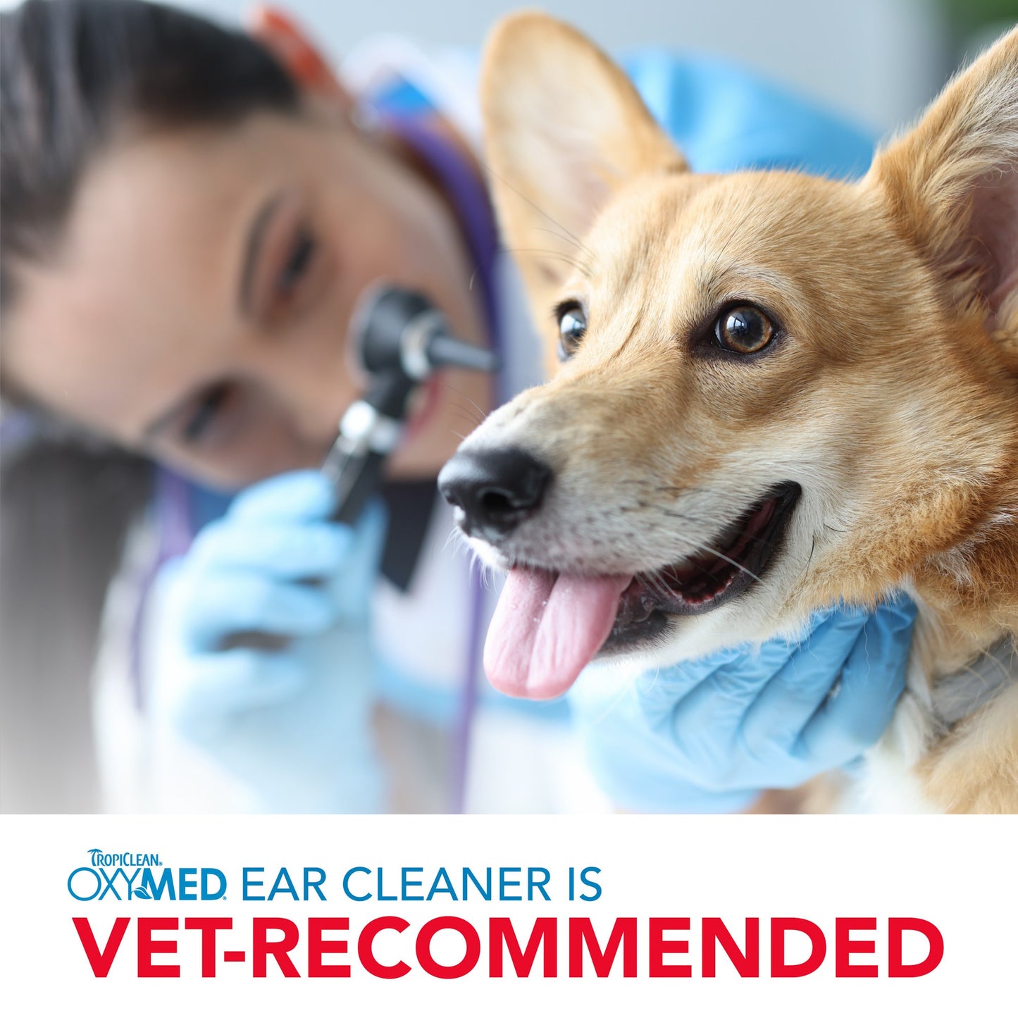 TropiClean OxyMed Ear Cleaner for Pets