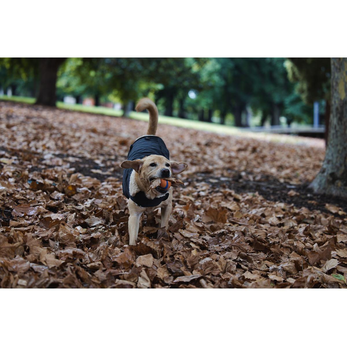 Ruff n Rugged Corduroy Dog Jacket Steel Grey