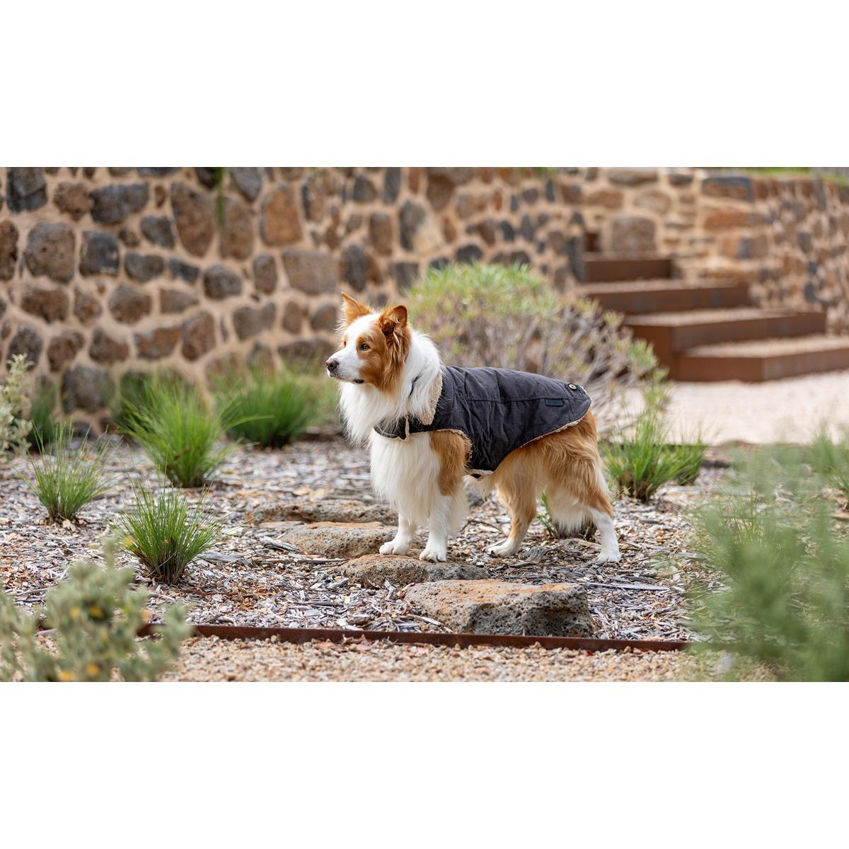 Ruff n Rugged Corduroy Dog Jacket Steel Grey