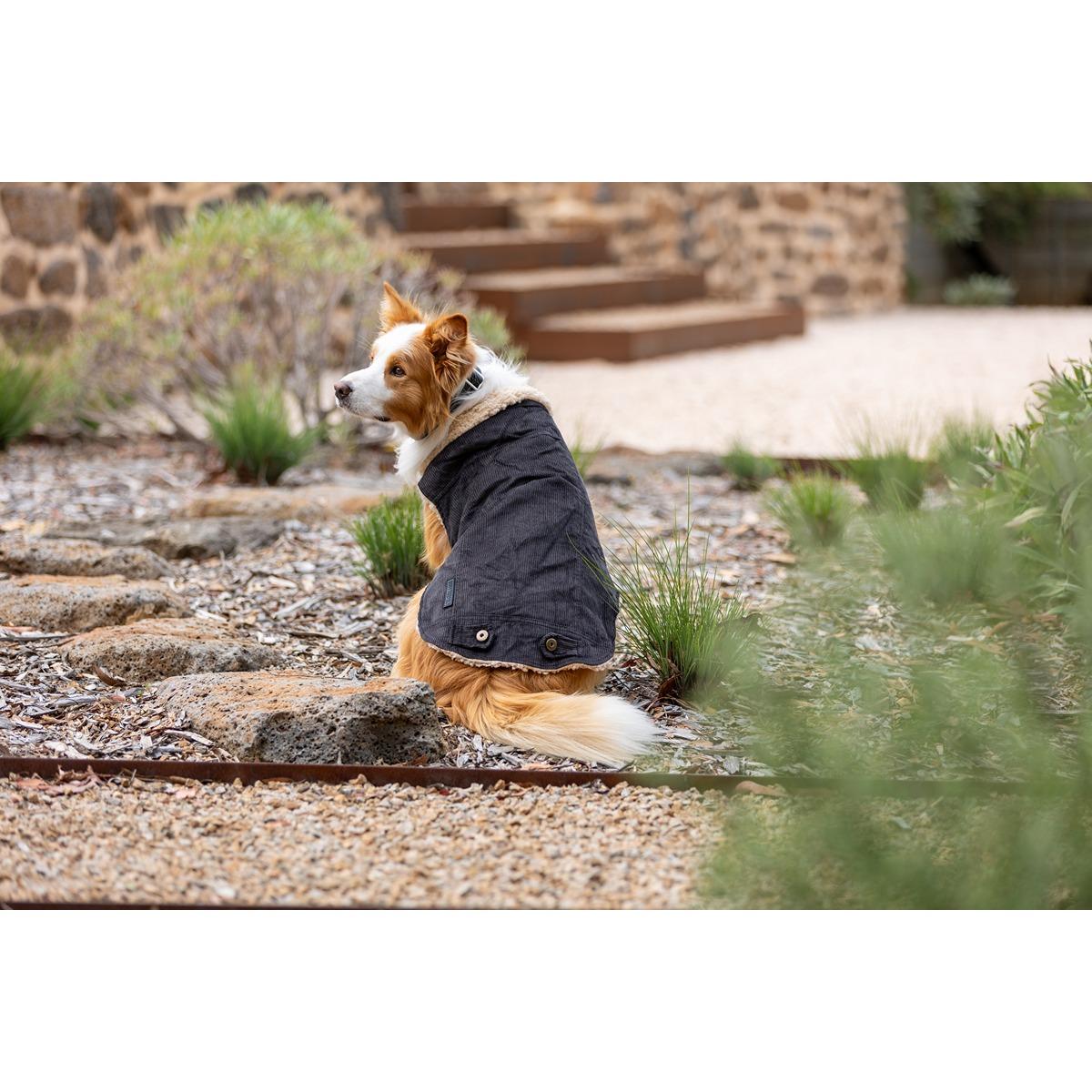 Ruff n Rugged Corduroy Dog Jacket Steel Grey
